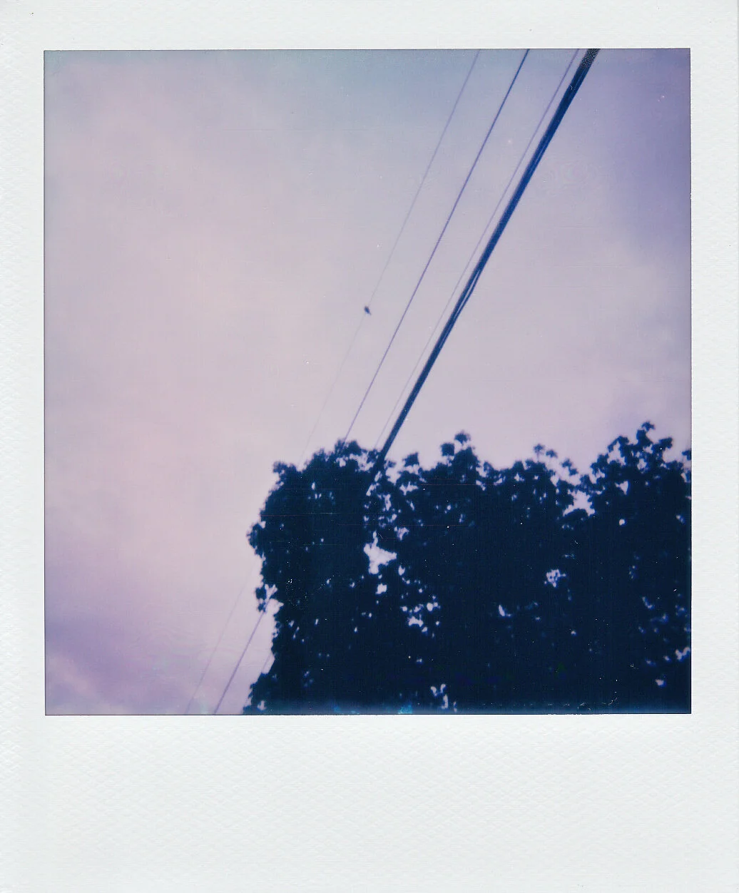 Instant Photography for Beginners: Top Camera Picks &amp; Where to Buy 