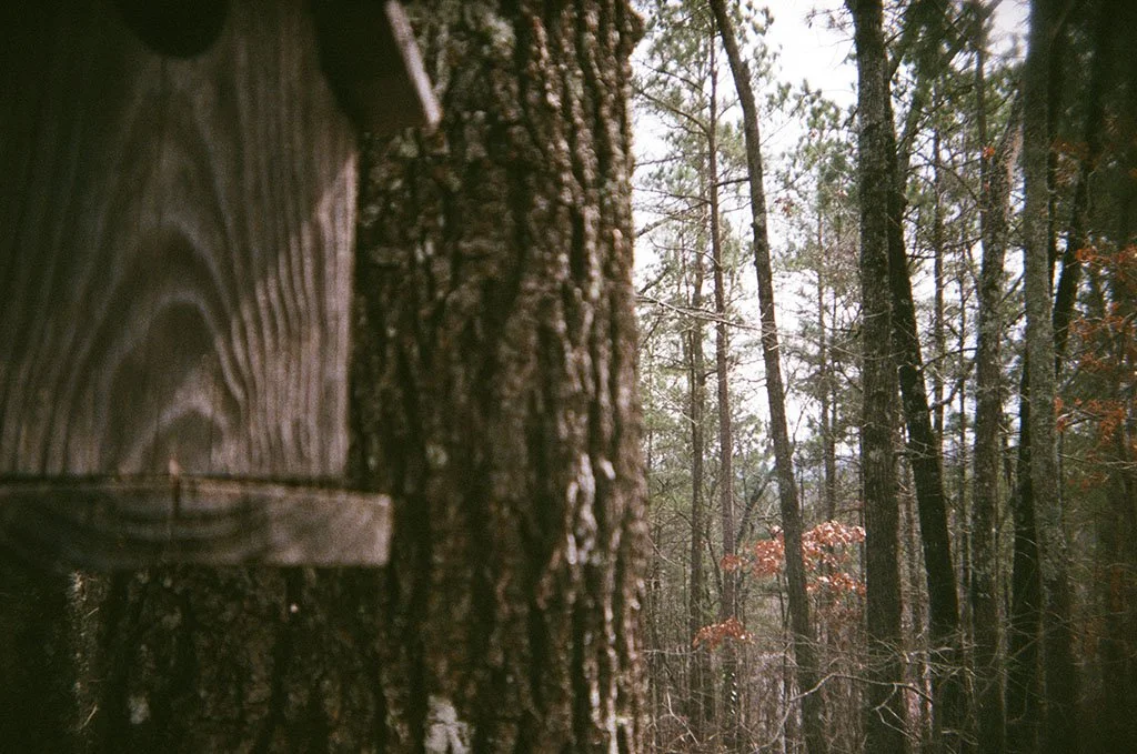 Twenty-Twenty TWO YEARS of Kelsey Collier Photography &amp; Where I've Been