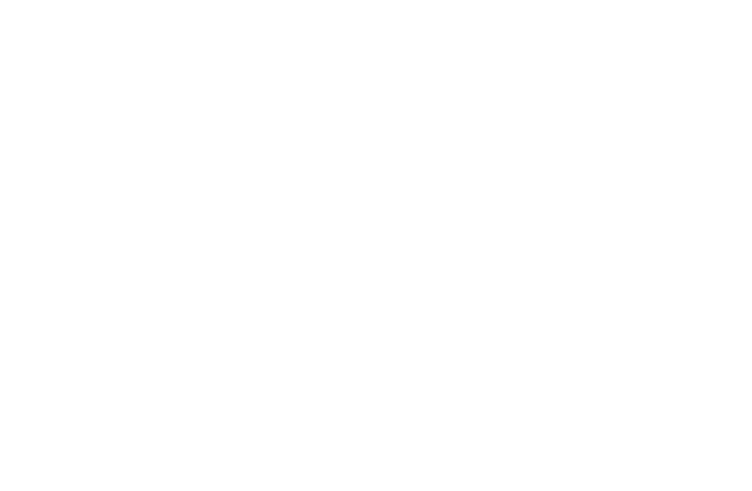 santoni header.png