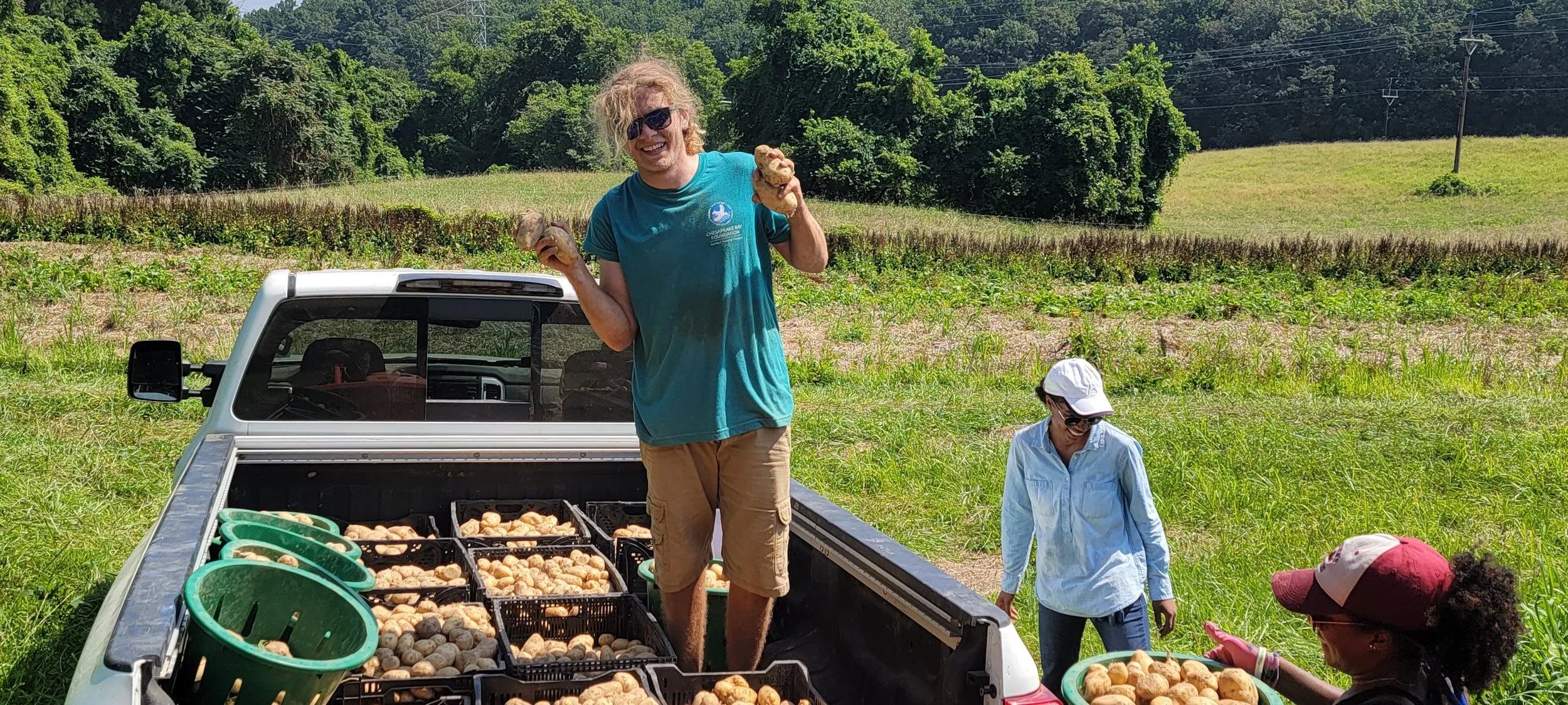 Volunteer with potatoes.jpg