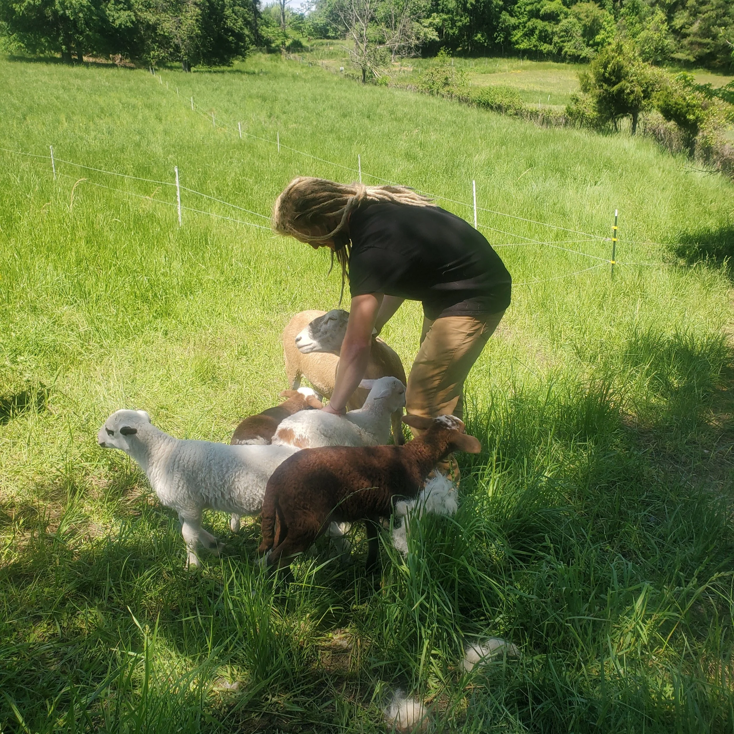 Alex+with+lambs.jpg