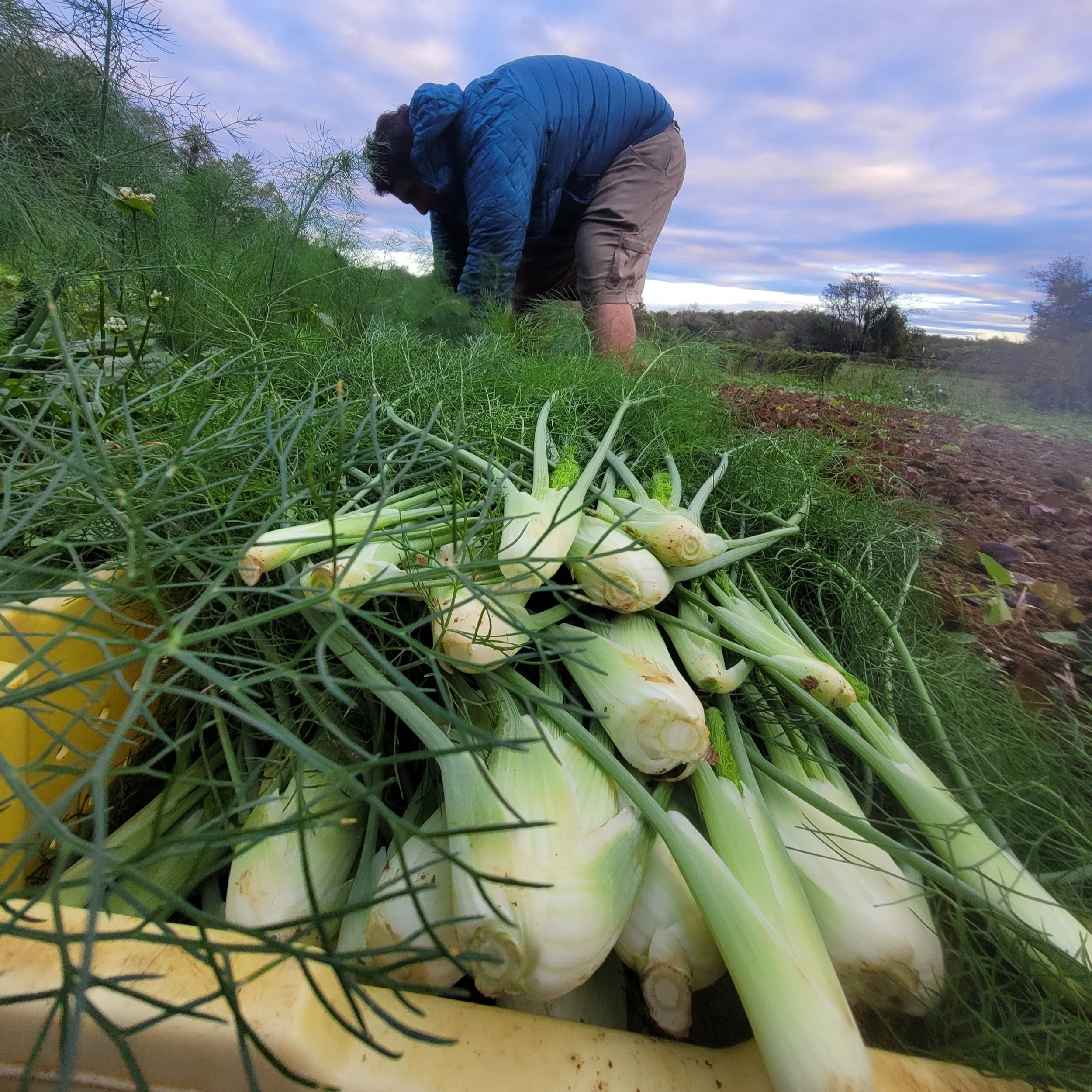 jared+with+fennel.jpg