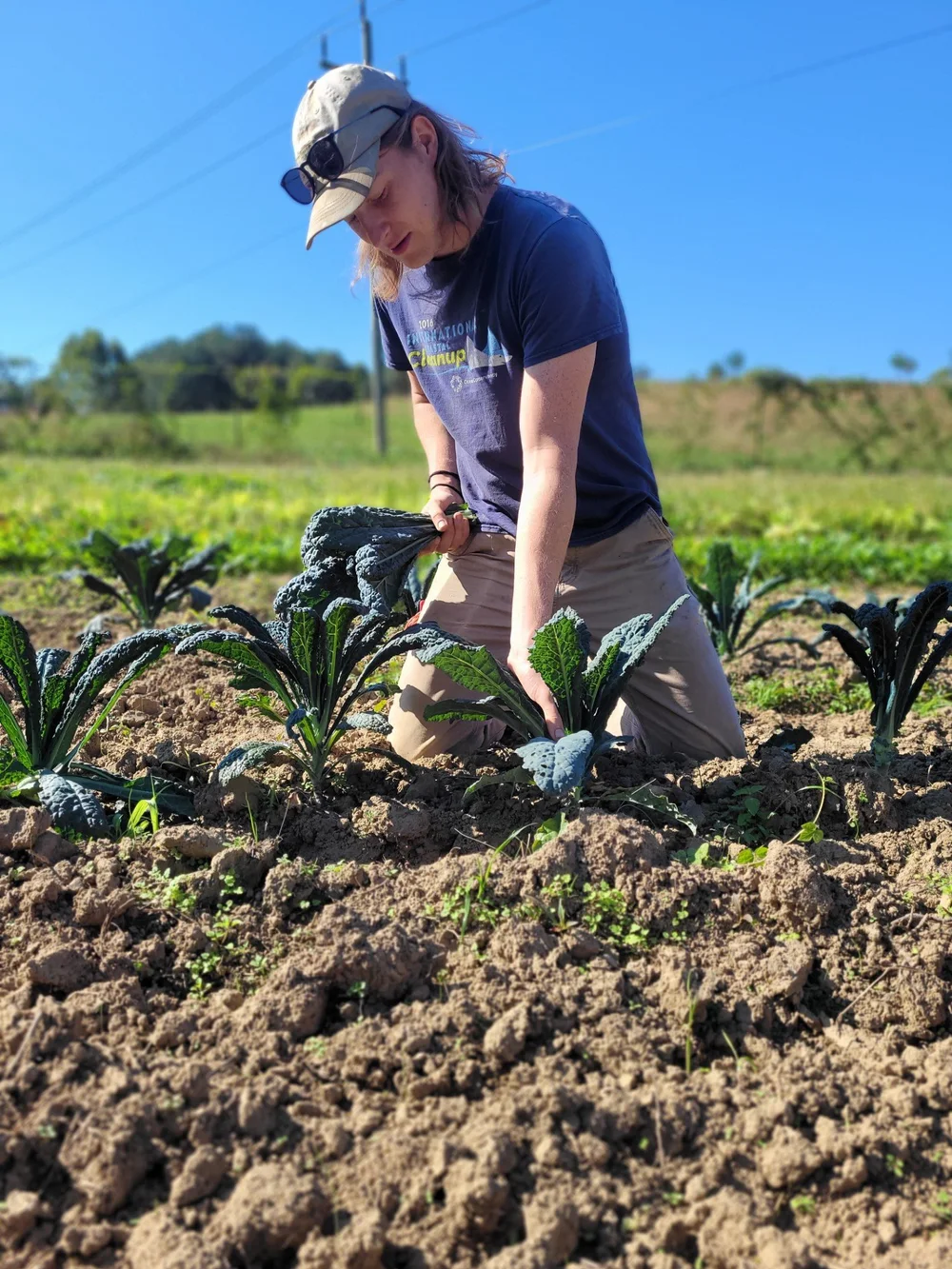 Workshare Program — Clagett Farm