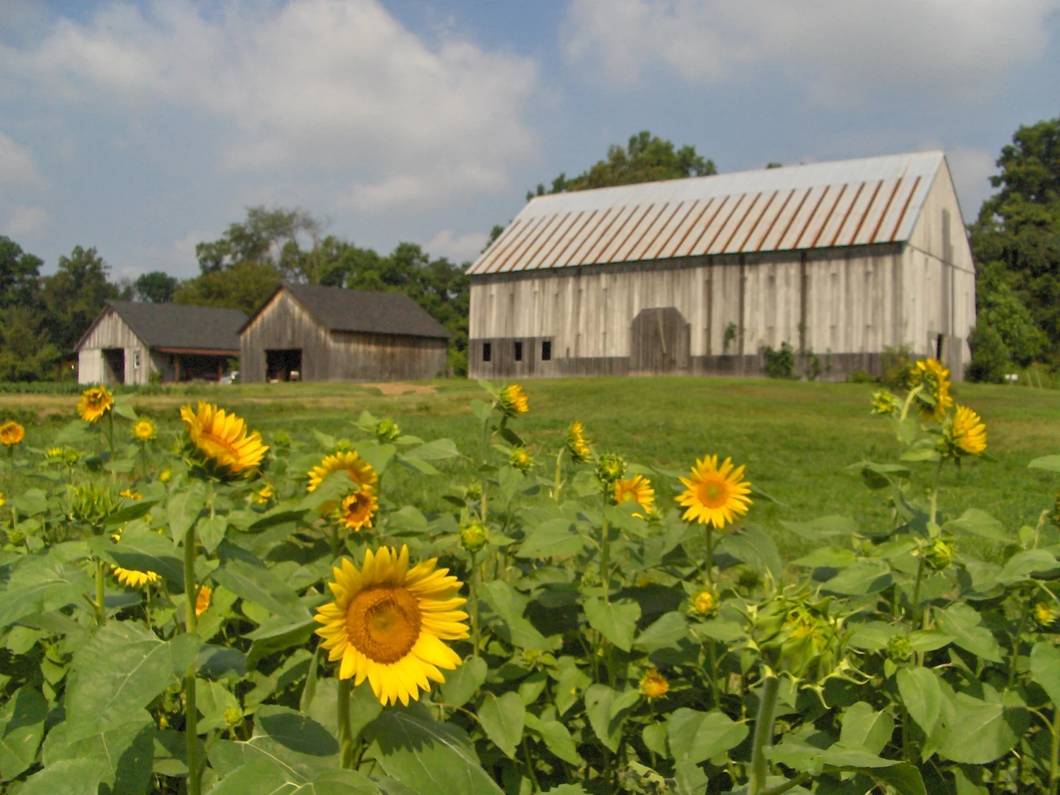 26 week CSA — Clagett Farm
