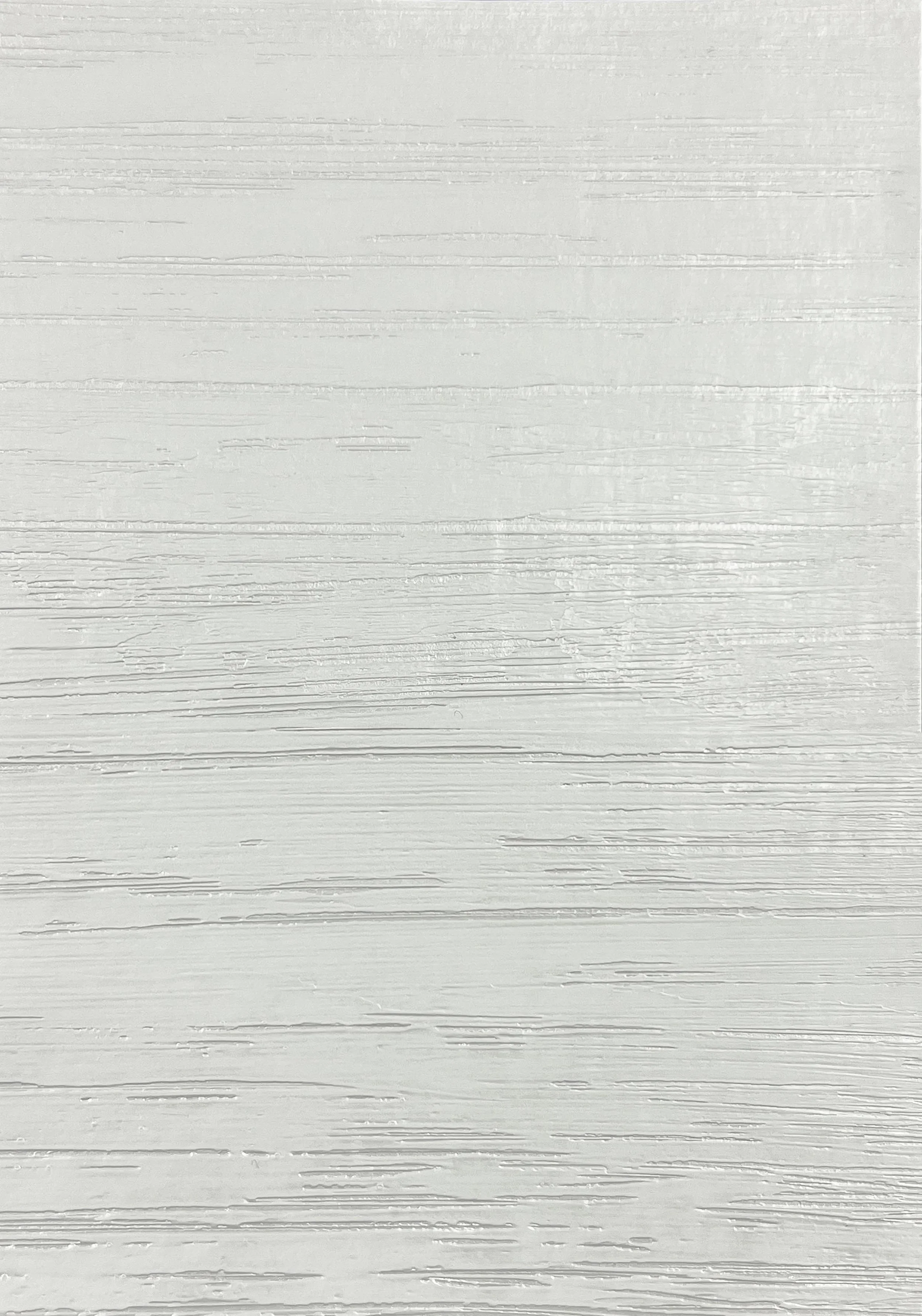 Betula Ash Silver copy.JPG