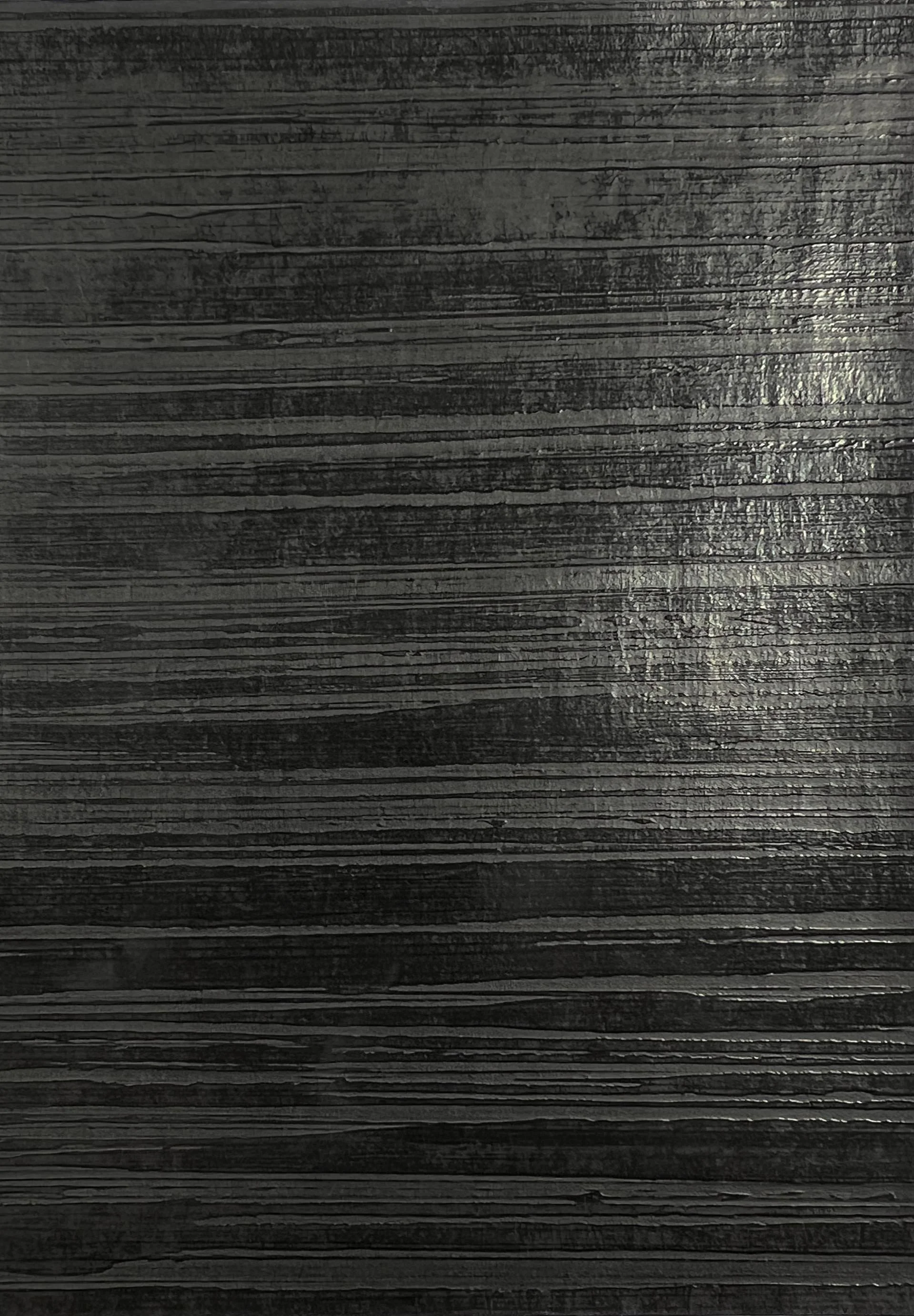Betula Gunmetal copy.JPG