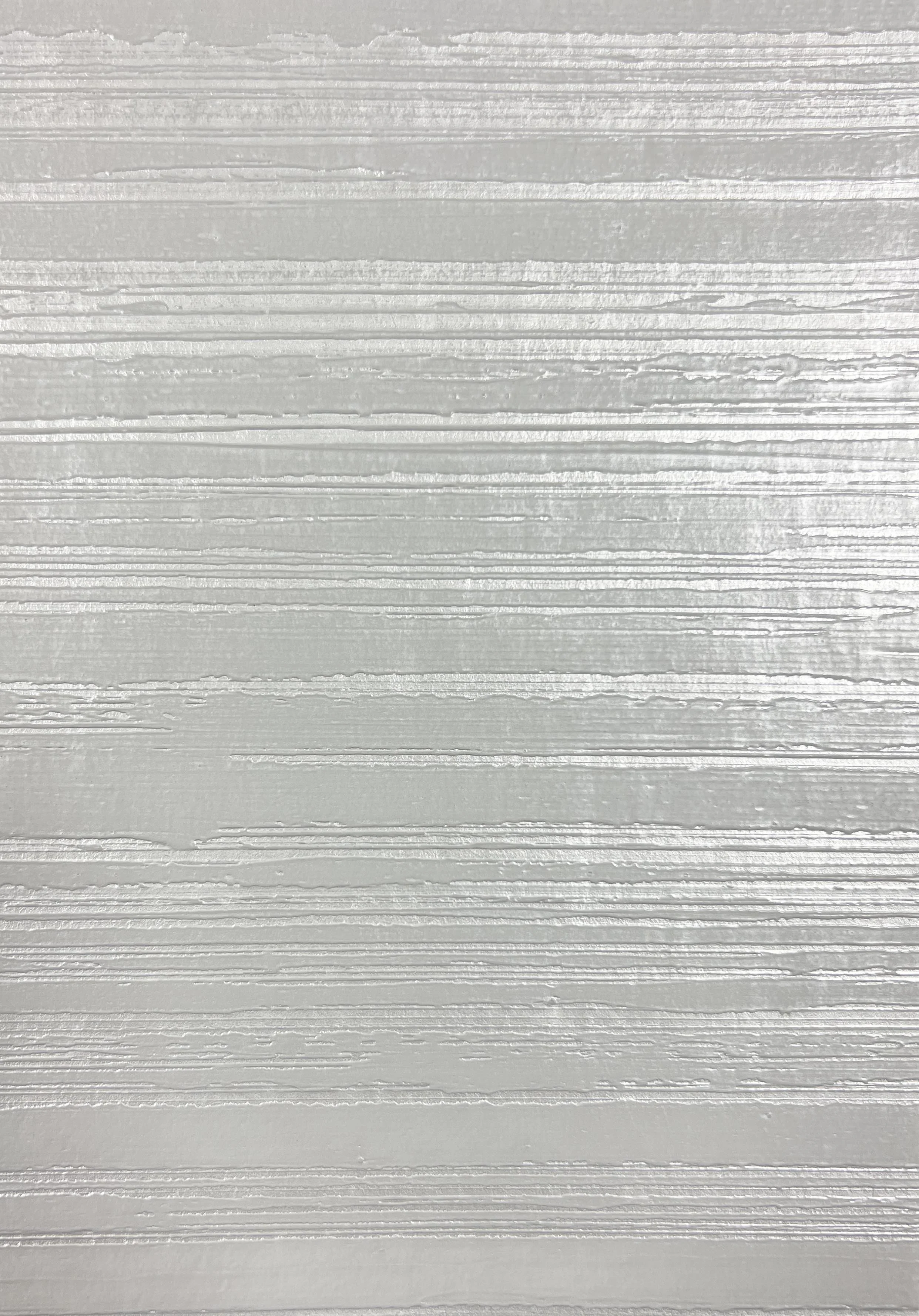 Betula Rex Silver copy.JPG