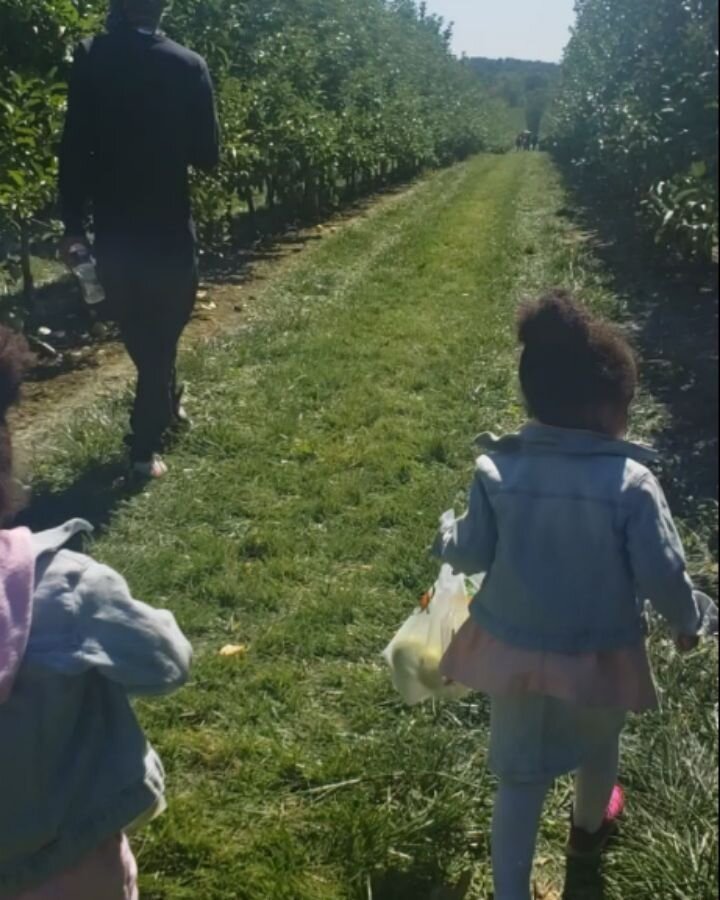 🍎PICK A PECK OF APPLES🍎
Time spent with my husband, sister, and the kids is always a good idea and time. #familyvibes  #SUNdayVibes
.
.
.
.
.
.
.
.
.
.
.
.
.
.
#BmoreJanelle #tempandchey #lifewithtoddlers #momlife #auntie #familytime #applepicking 