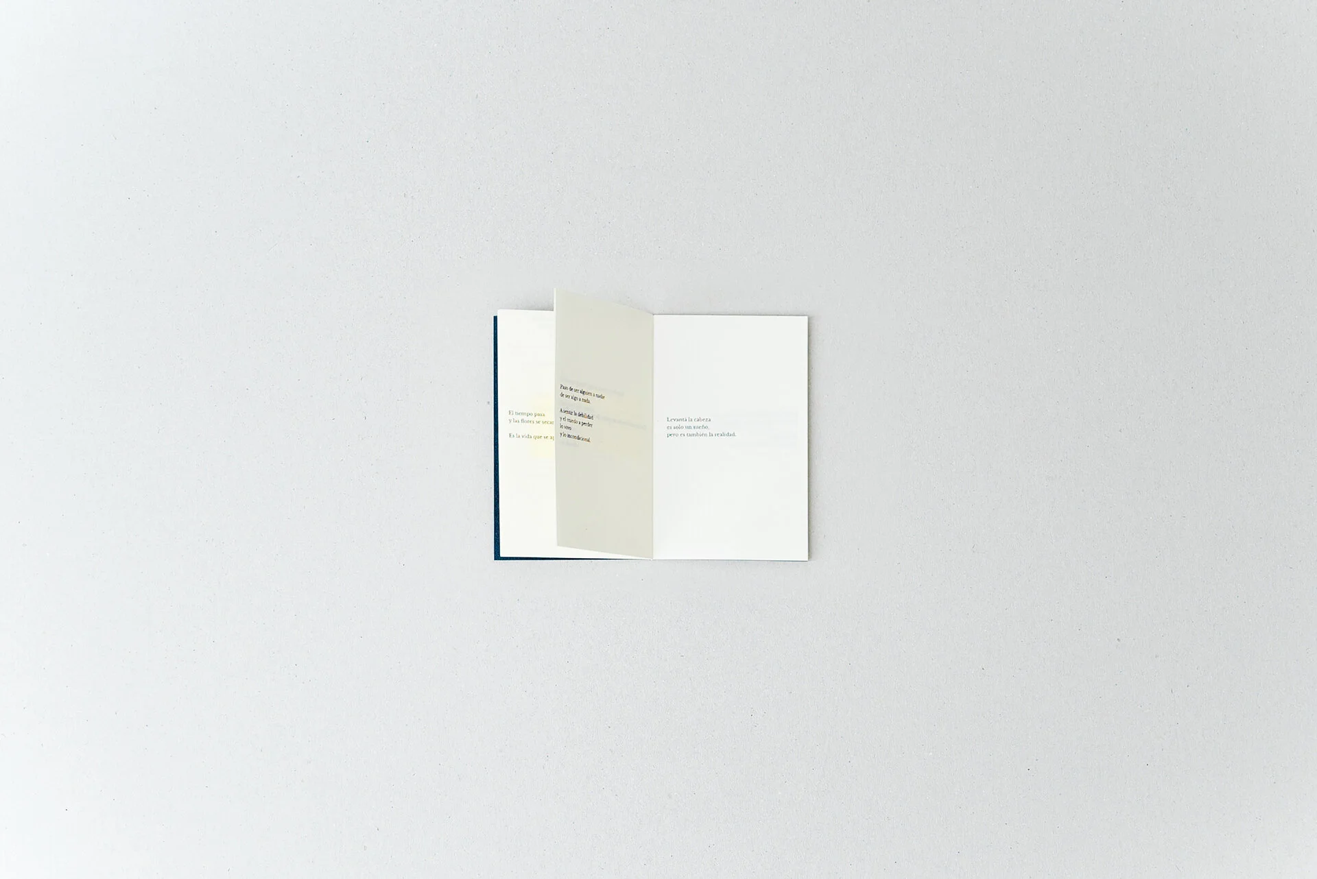 libro10.jpg
