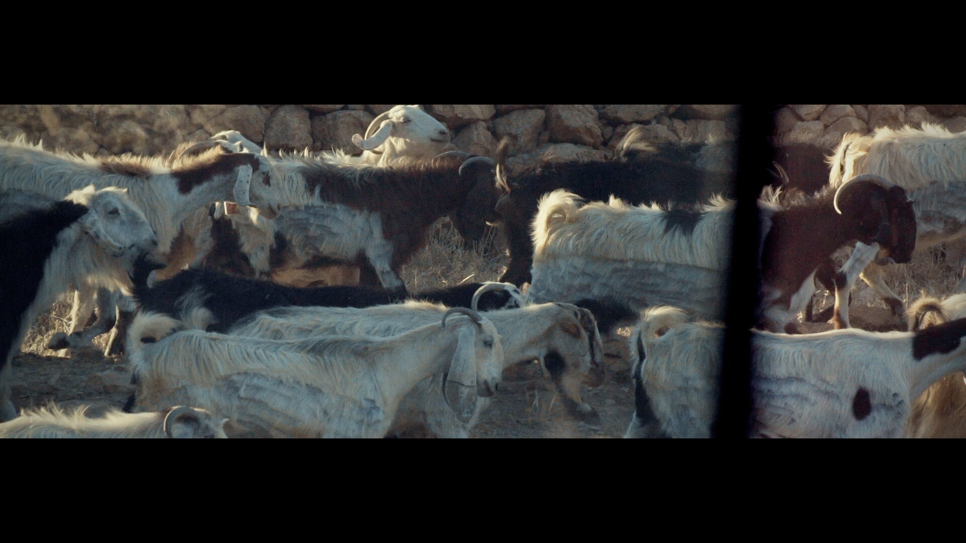 stills docu_0007_Layer 1.jpg