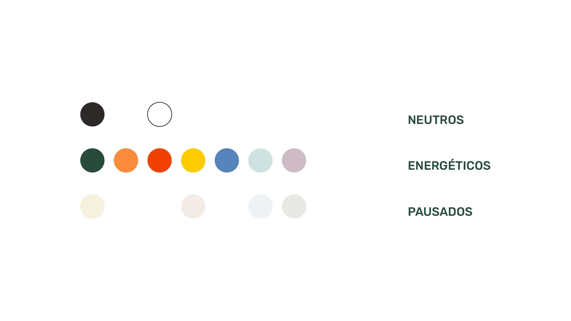 STILLS VIDA_0005_Vector Smart Object.jpg