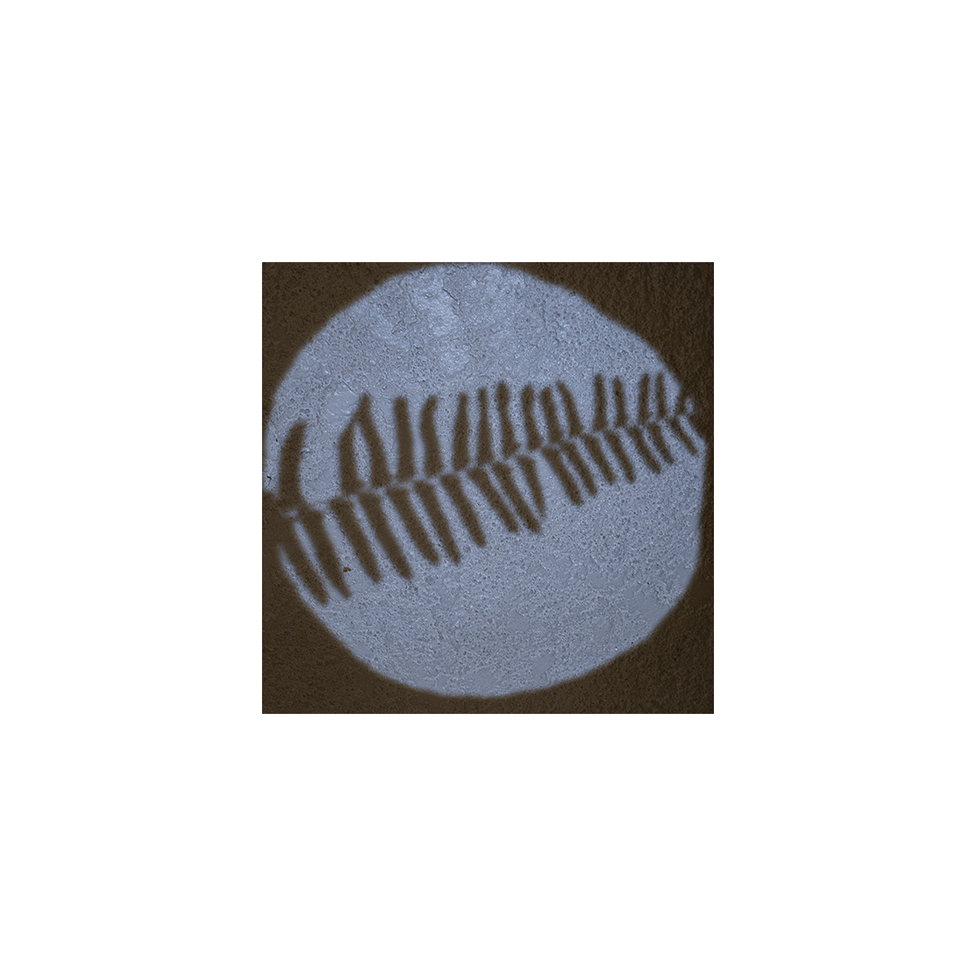 MATERIA PRIMA T03.gif