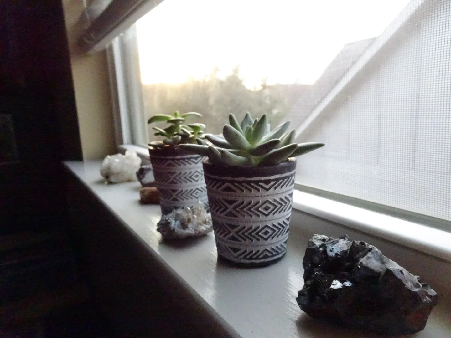 The Do’s and Don'ts Of Winter Plant Care&nbsp;