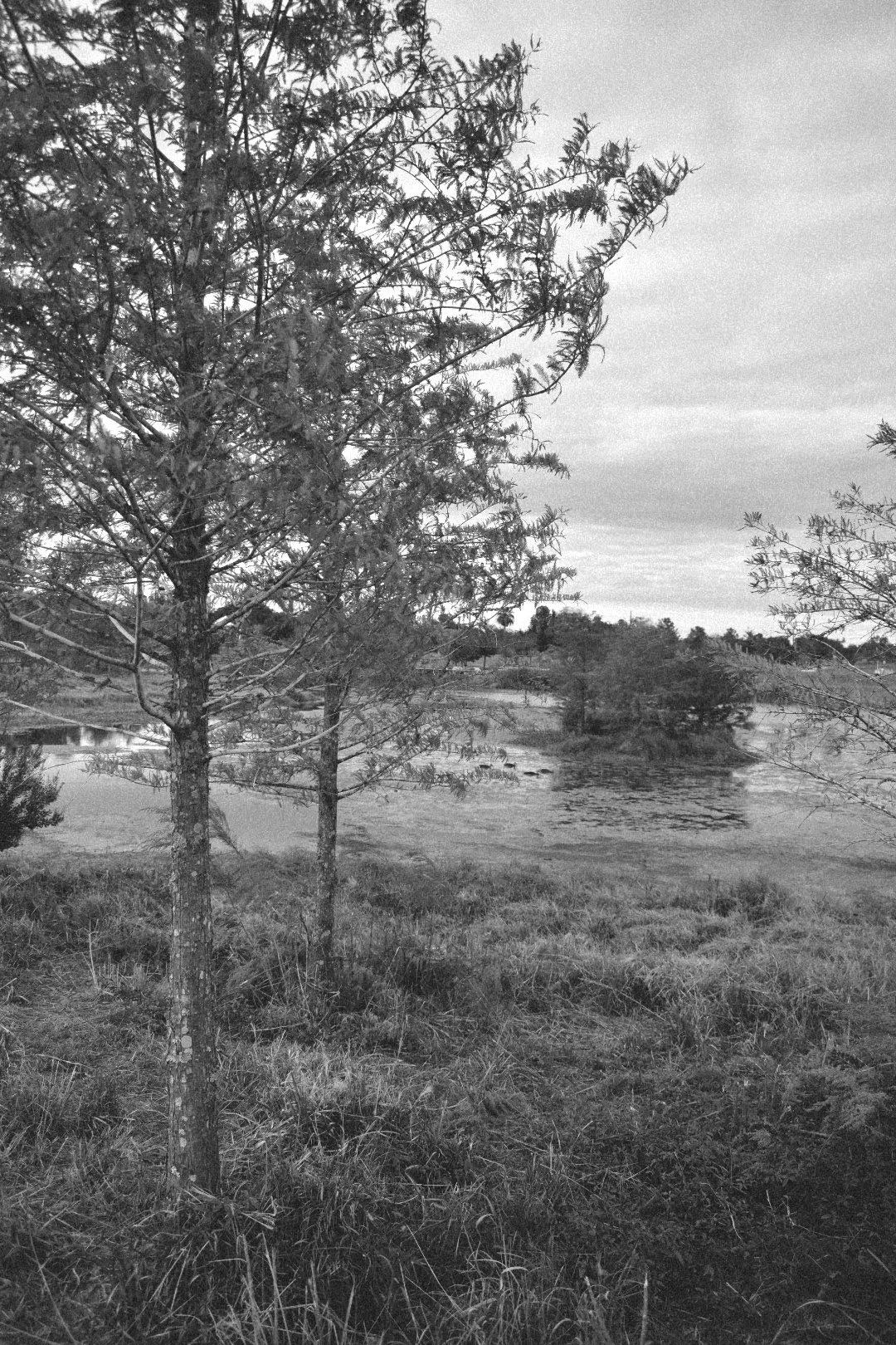 “Where Has She Been?”