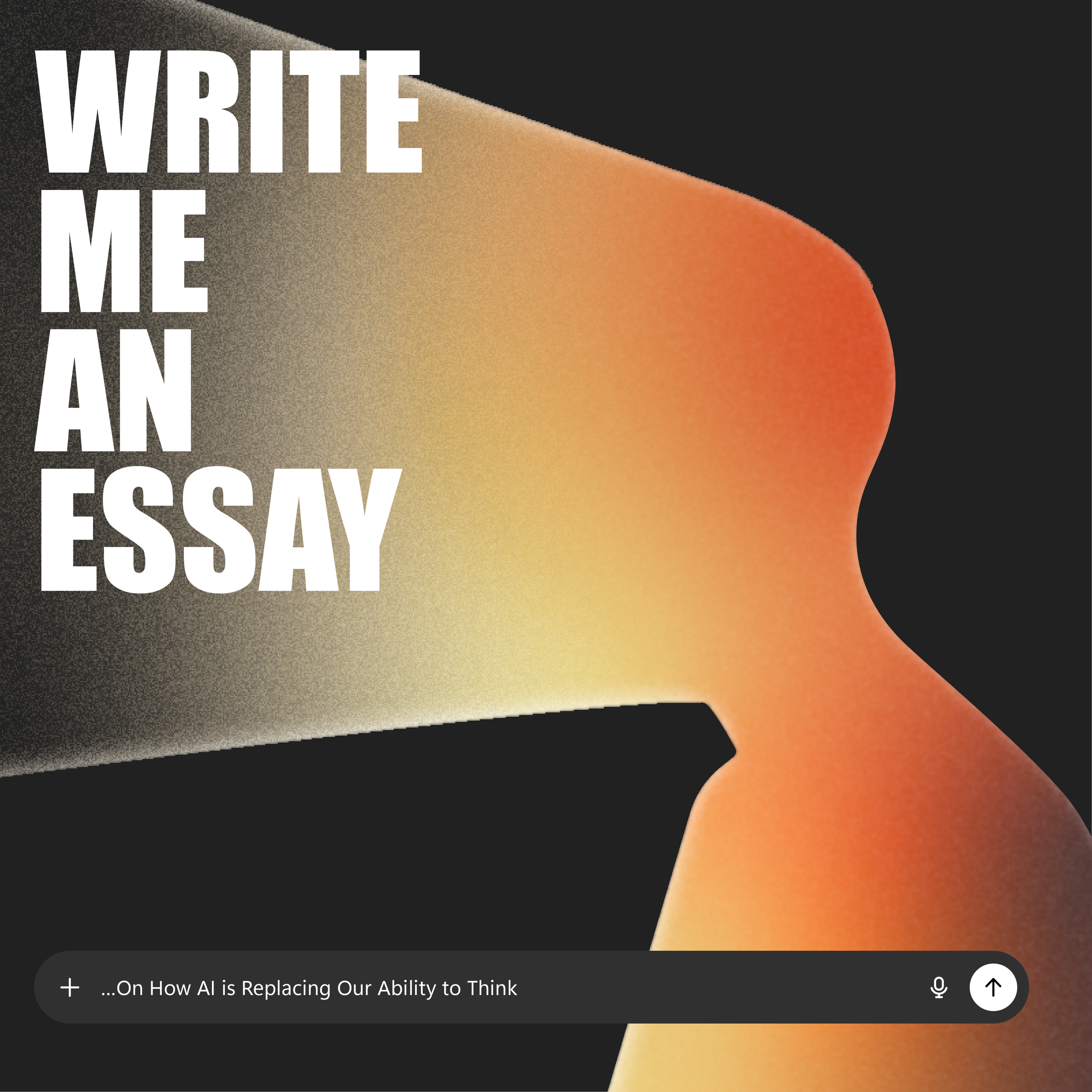Write Me an Essay…