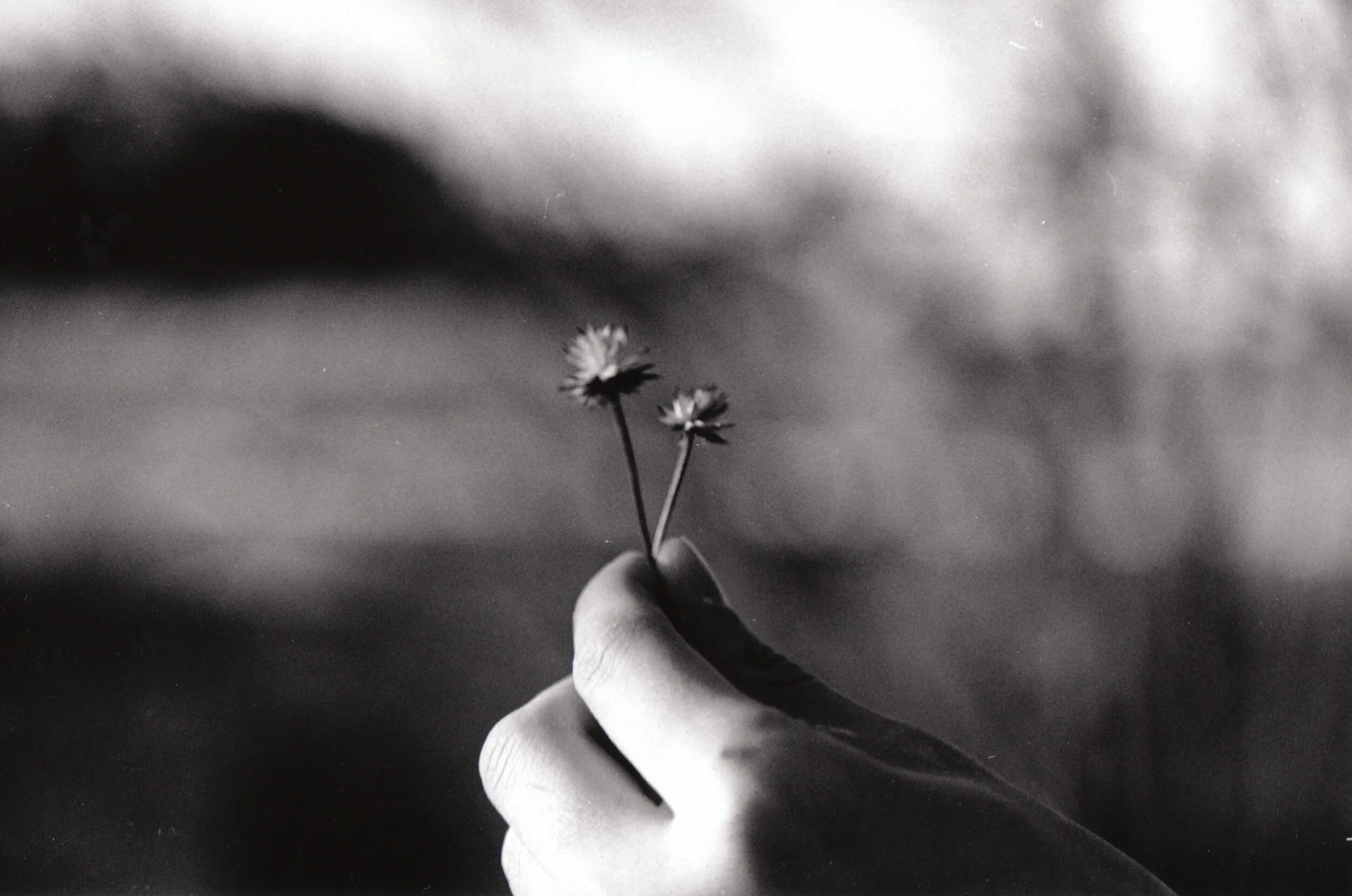 0327_0004.jpg