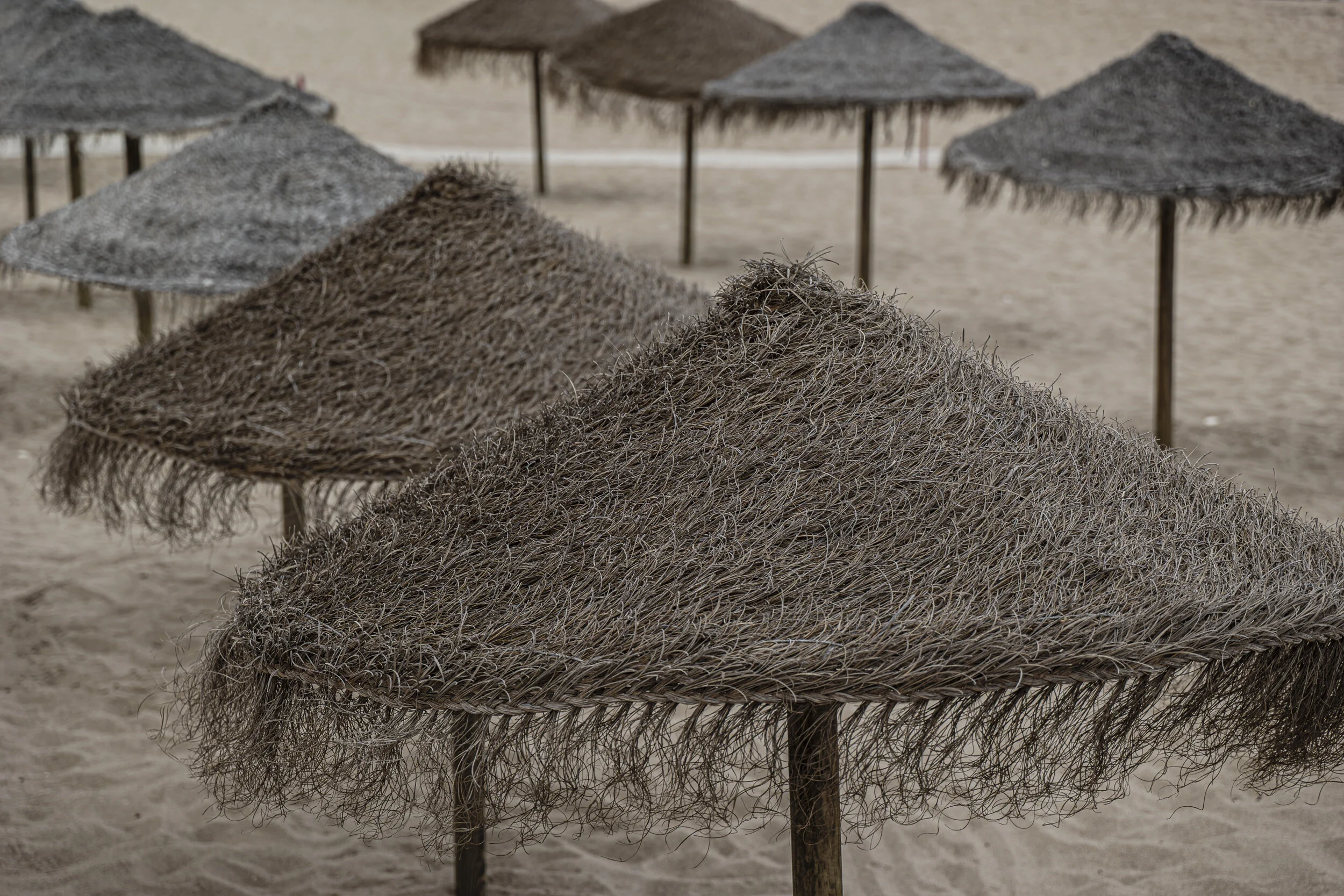 Website - Travel-4.JPG