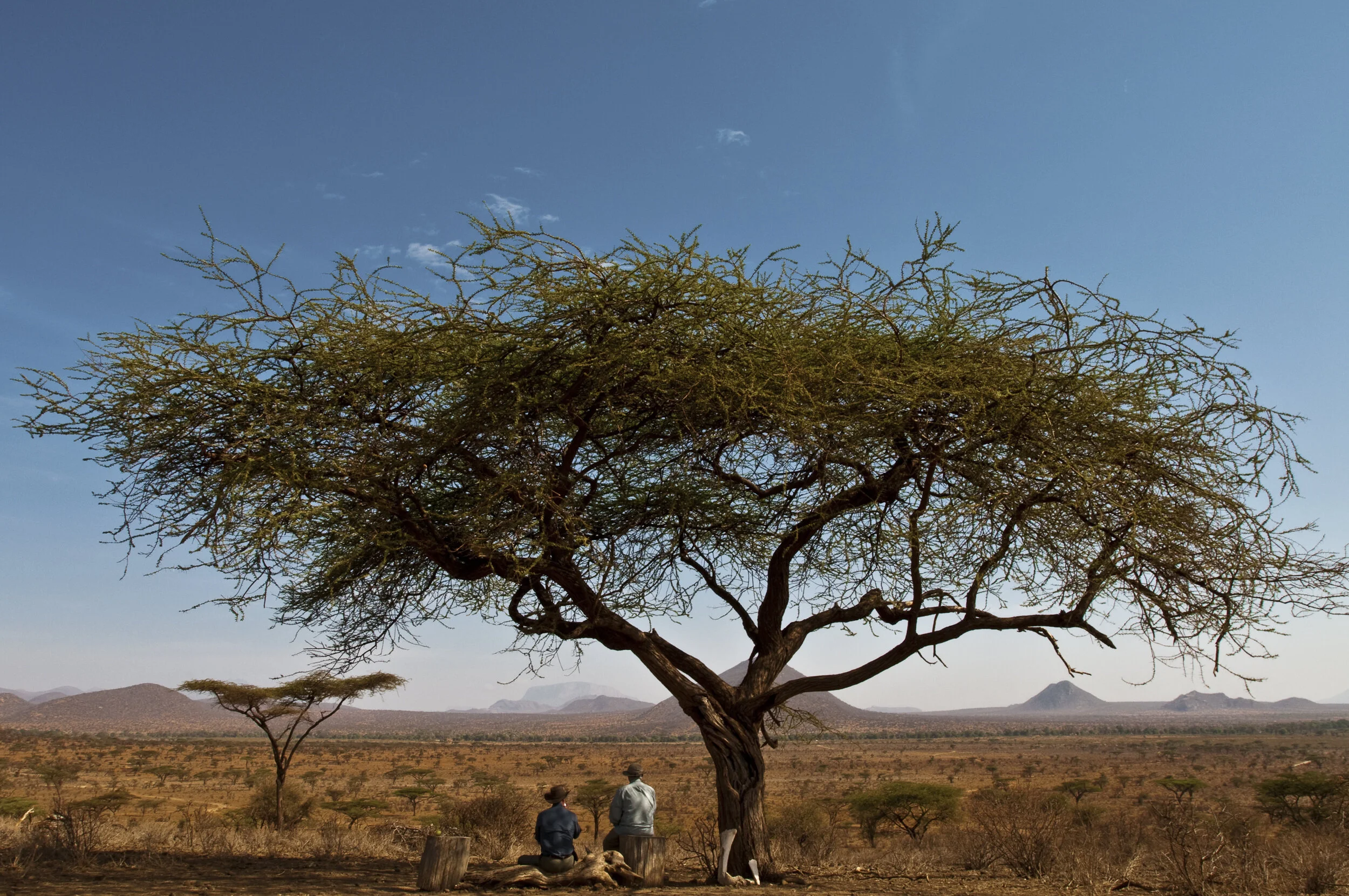 Website - Nature-2.JPG