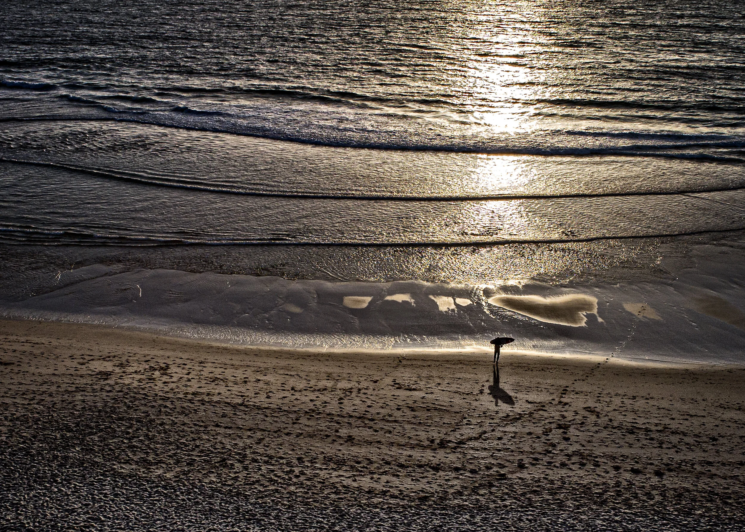 Website - Nature-4.JPG