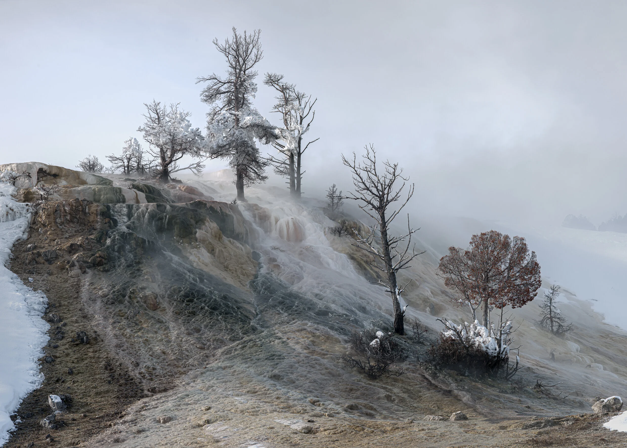 Yellowstone Winter 4 Shot Pano.jpg