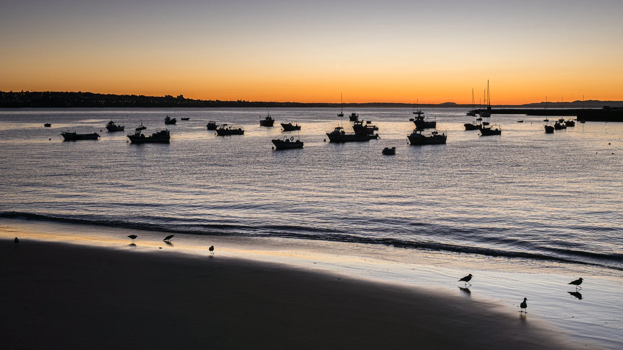 6. Website - Recent - Cascais Sunrise Boarts.jpg
