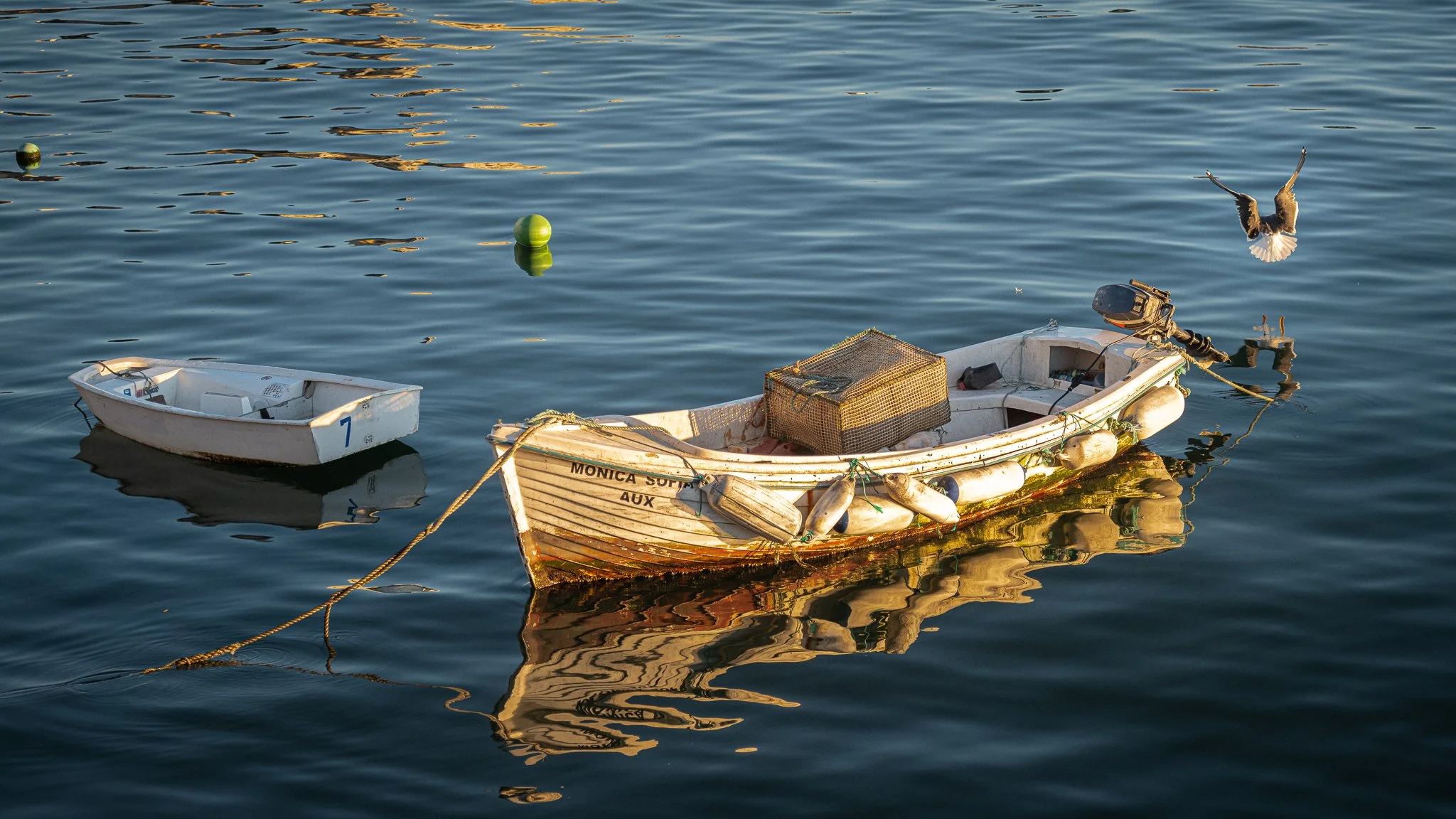 8. Website - Recent - Cascais Boat Marina #2.jpg