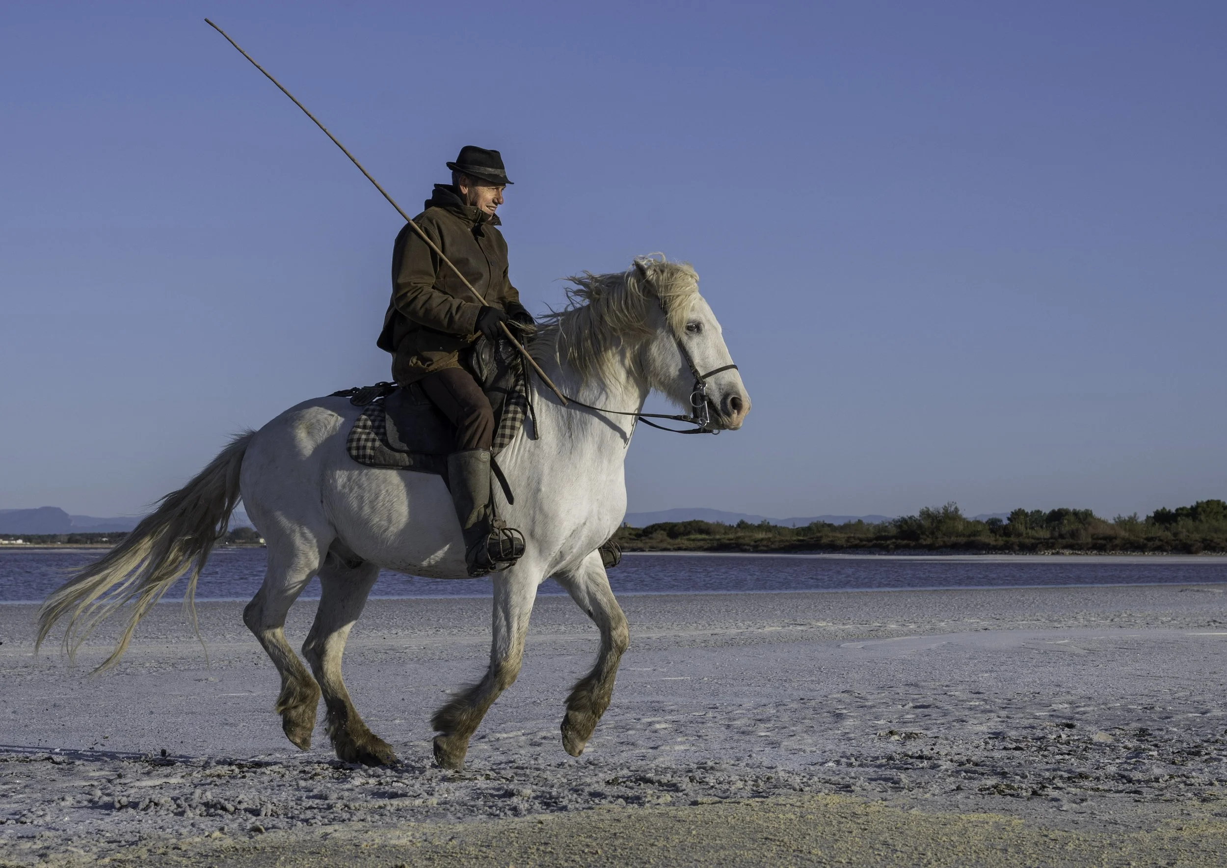 The Horses of the Camarge-7.jpg