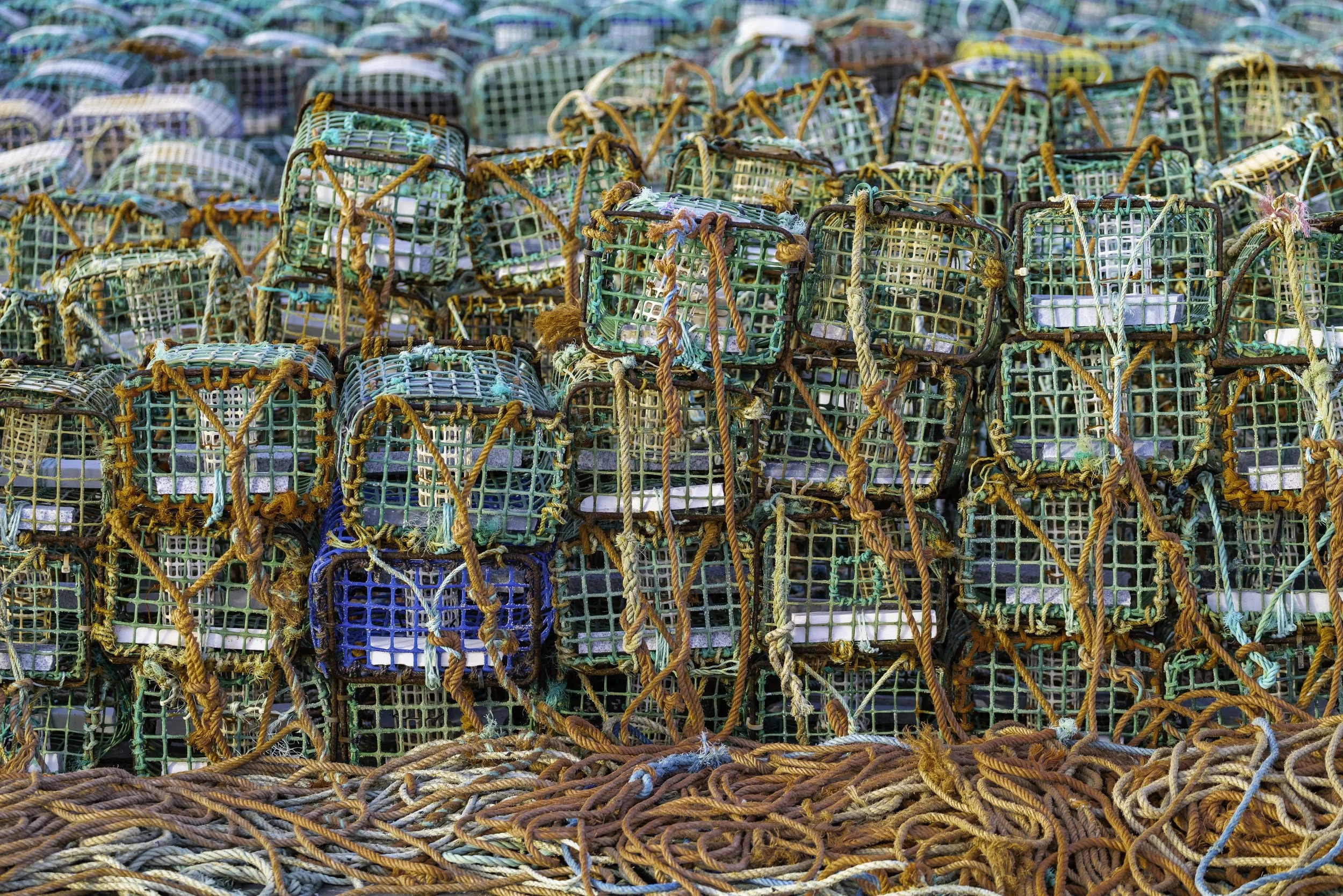 Cascais Crab Traps.jpg