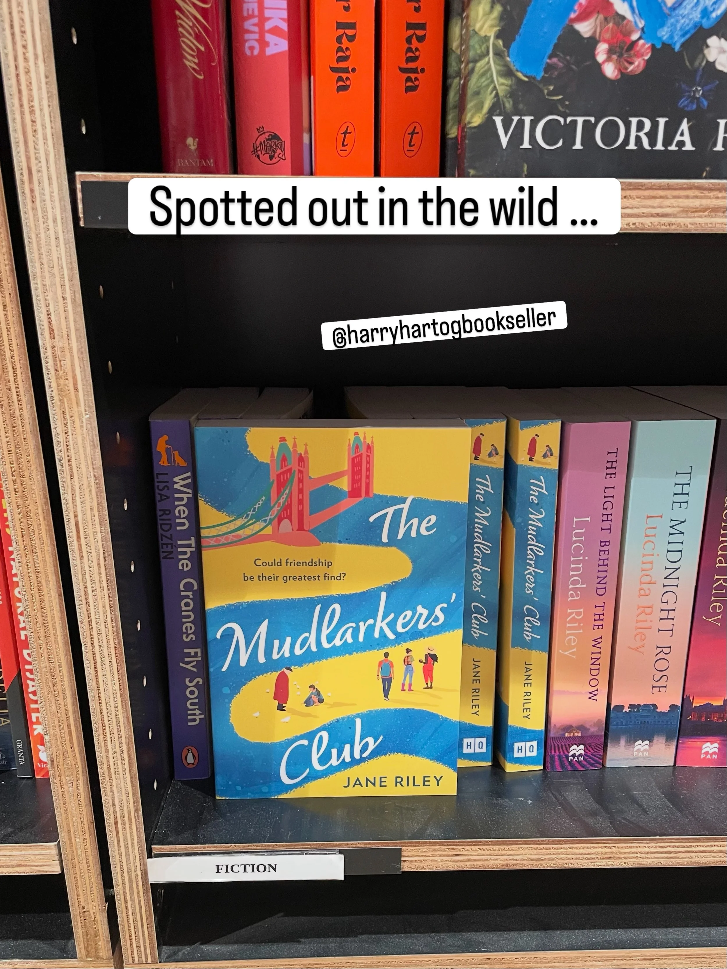 If anyone is local to Harry Hartog bookshop in Mosman, Sydney and you&rsquo;re looking for a book to read that&rsquo;s warm and cosy, or wanting a gift for a friend, they&rsquo;ve got copies of my book in paperback. Just saying. #themudlarkersclub #m