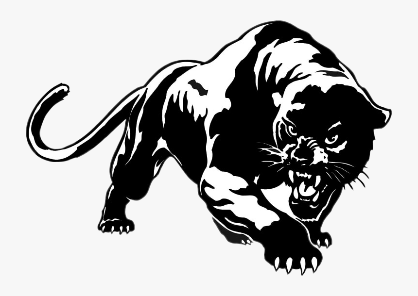 455-4557108_pantera-black-freetoedit-cat-wildcat-blackcat-transparent-background.png