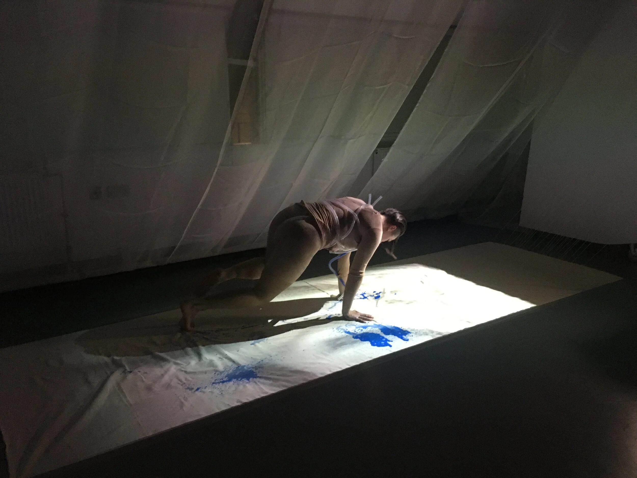 Public presentation, "Spatial Performace" workshop, AA Interprofessional Studio '19-'20