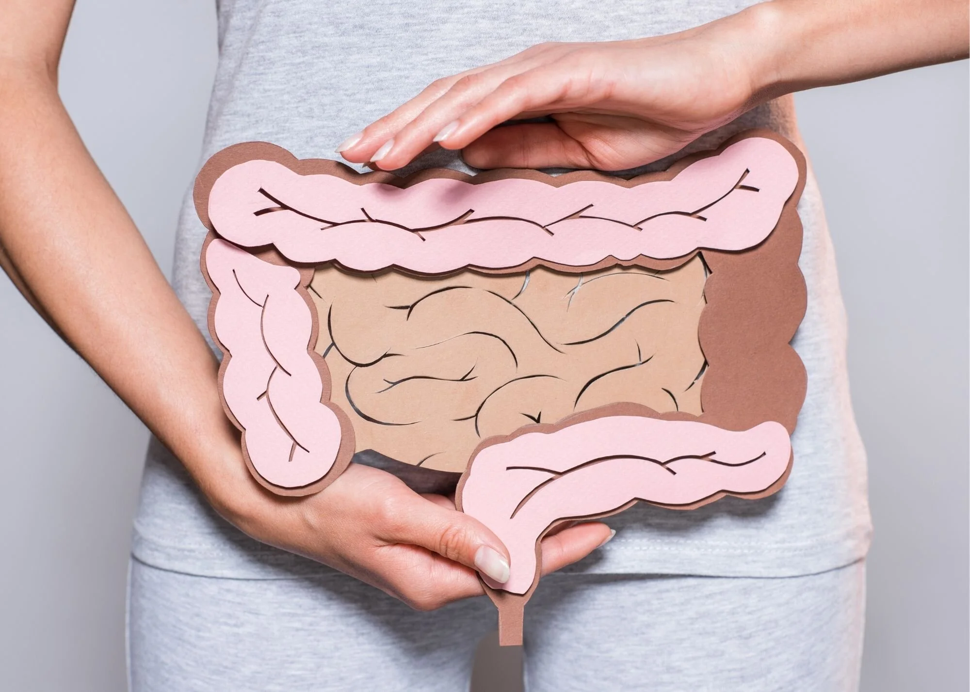 Gut.jpg