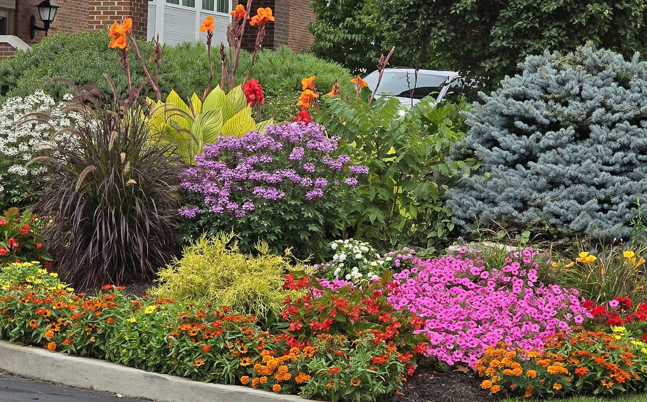 (6) 3. Peggy - Flowers.jpg
