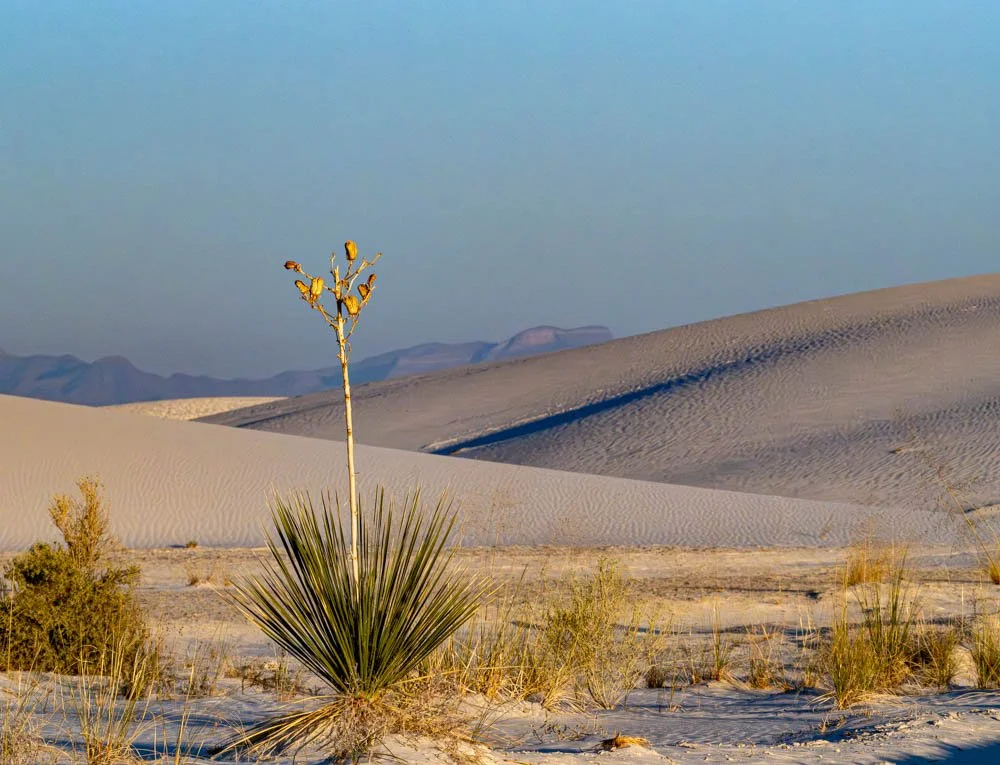 (2) 4. Kathy - Landscape.jpg