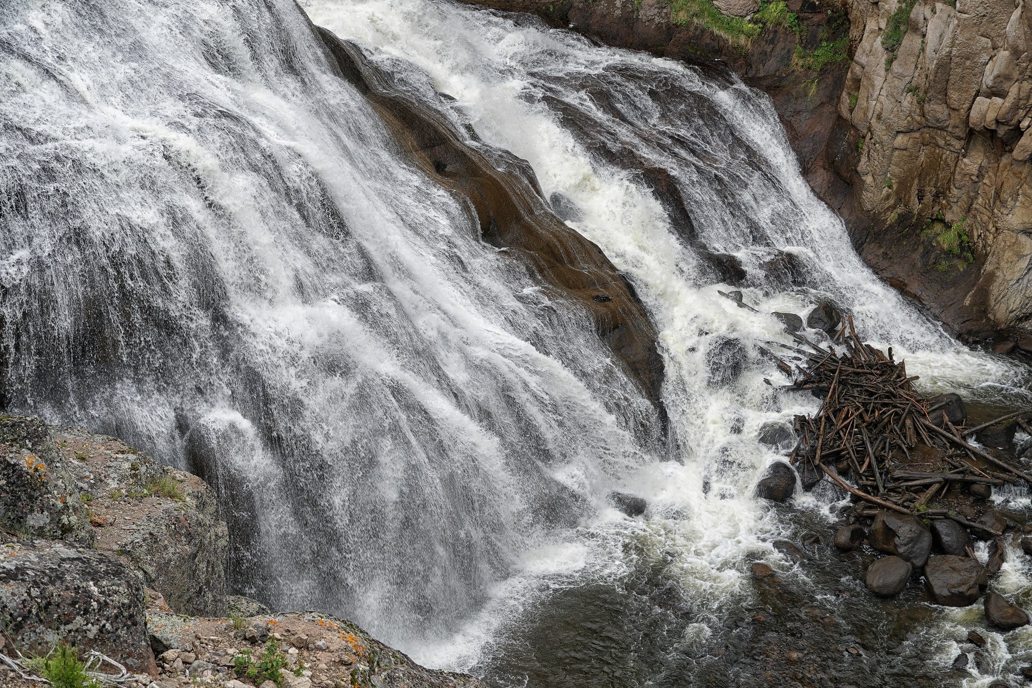 (6) 6. Trish - Water.jpg