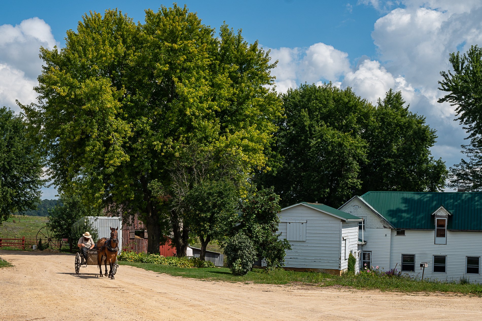 (9) 10. Doug - Transportation.jpg