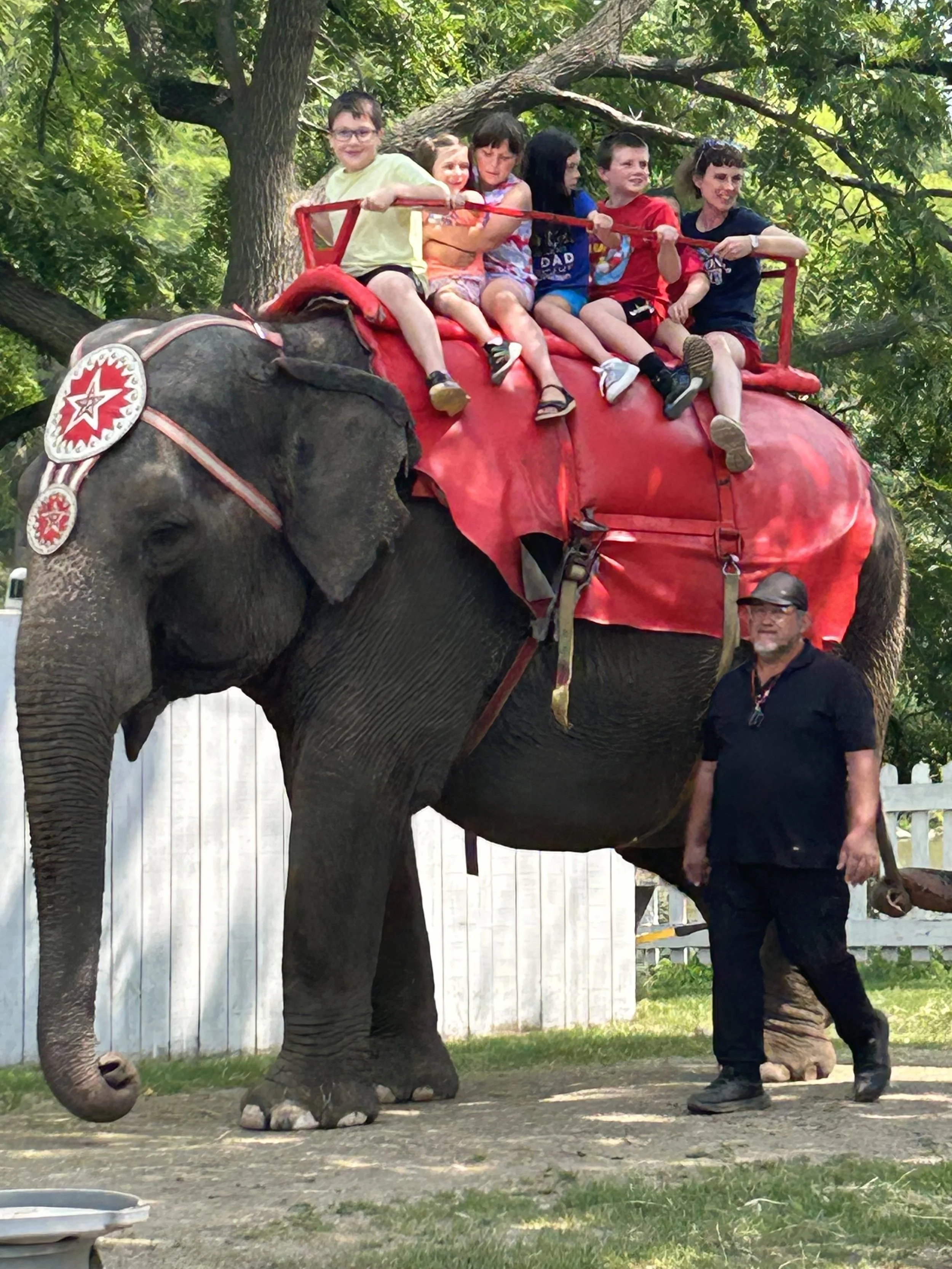 4. Cathy Mammals.jpg