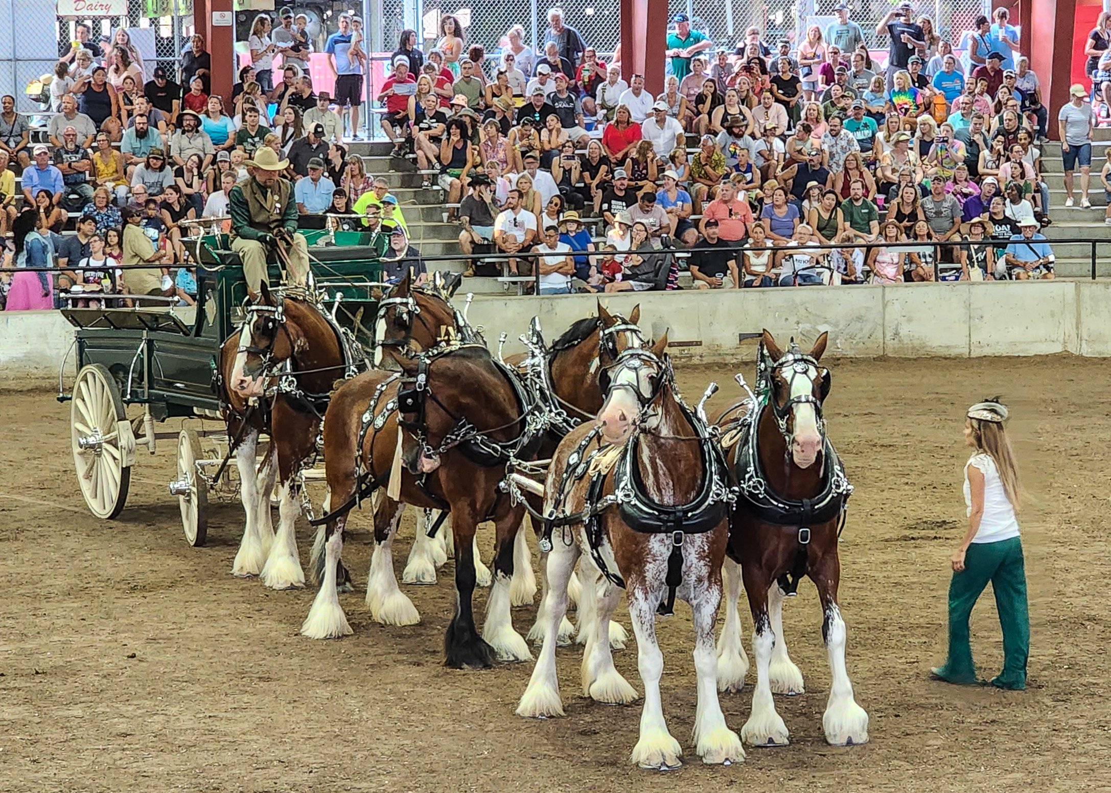 5. Erick Mammals.jpg