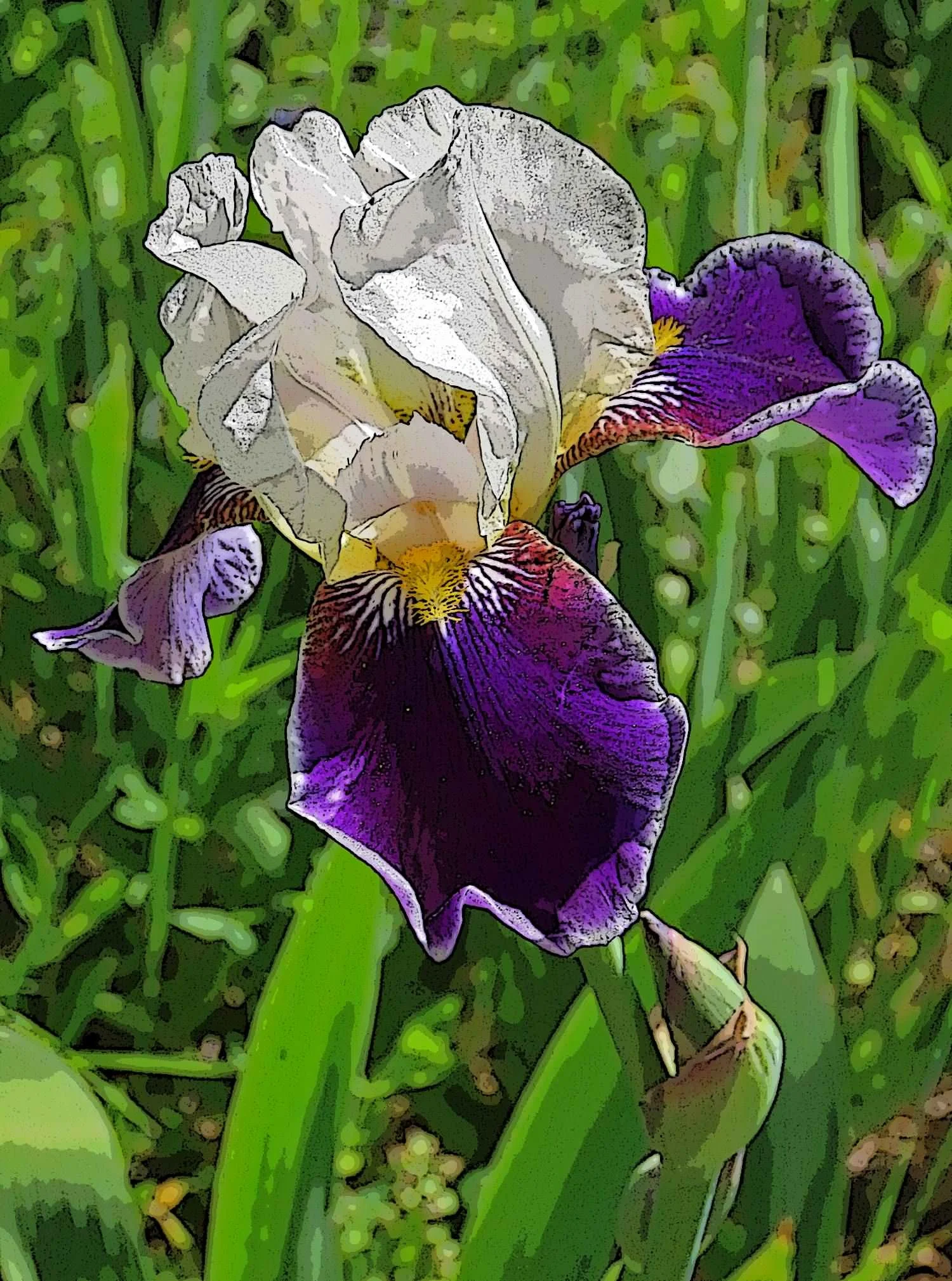 16. Marlene Flowers.jpg