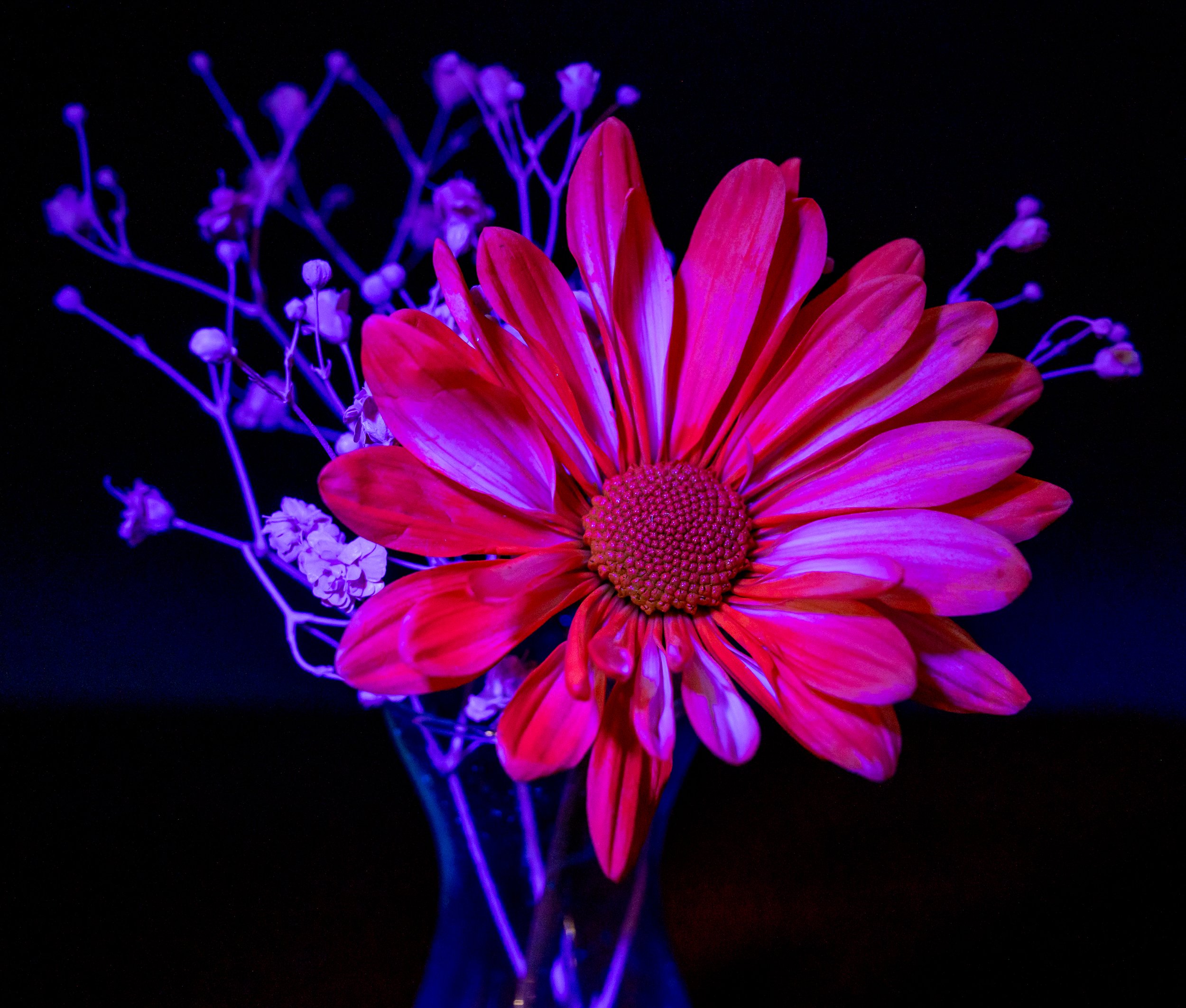 3. Erick Flowers.jpg