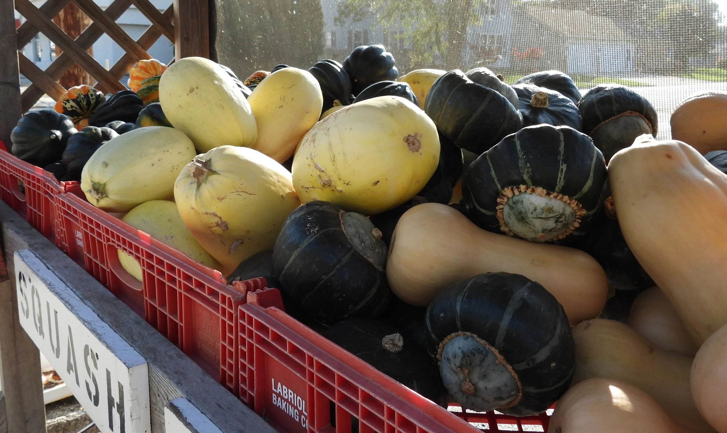 8. Chris Vegetables.jpg