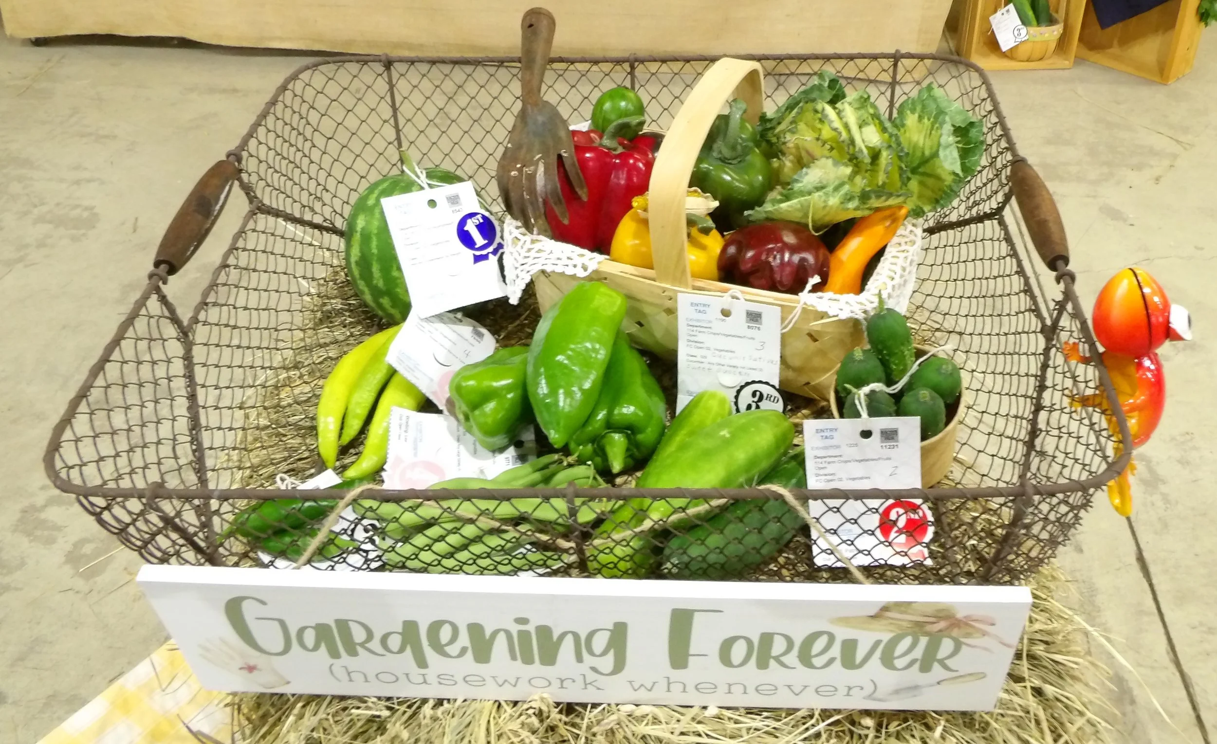 12. Robin Vegetables.jpg