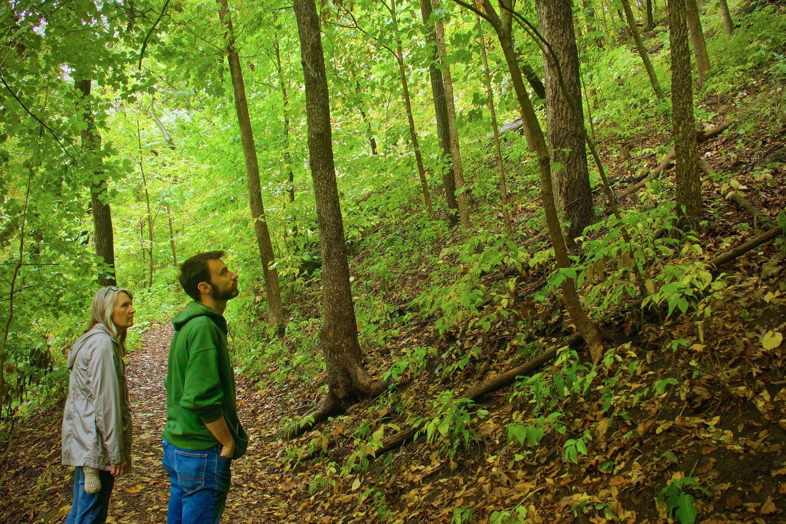 9. Glen Mountain.jpg