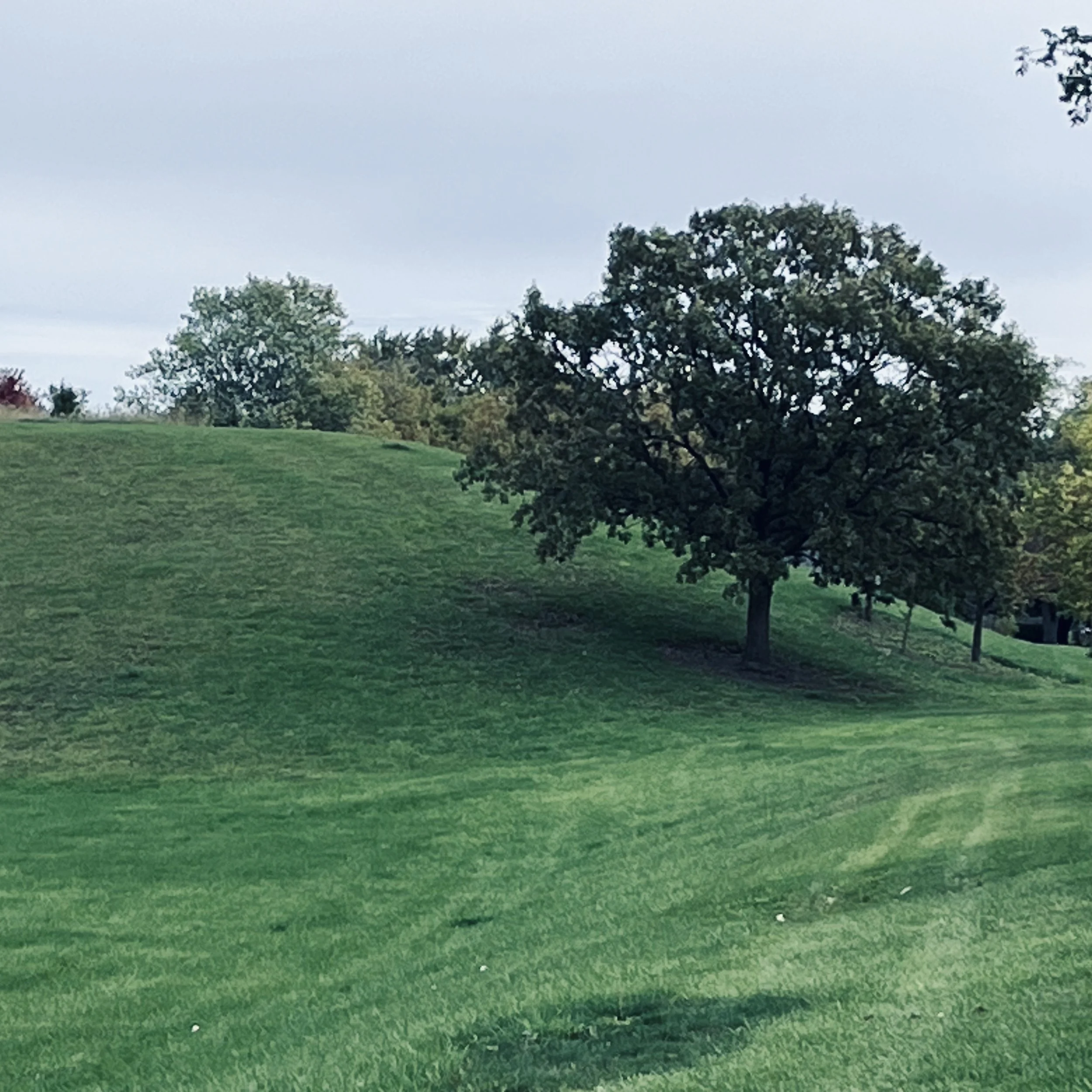 12. Cathy Mountian.jpg