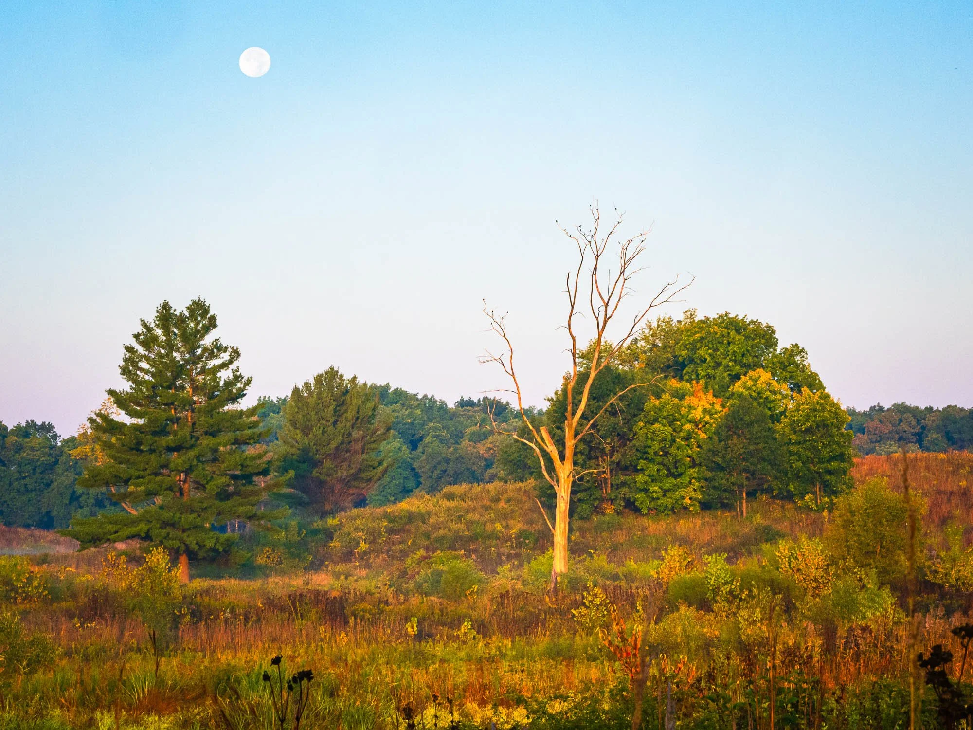 5. Chip Mountian.jpg