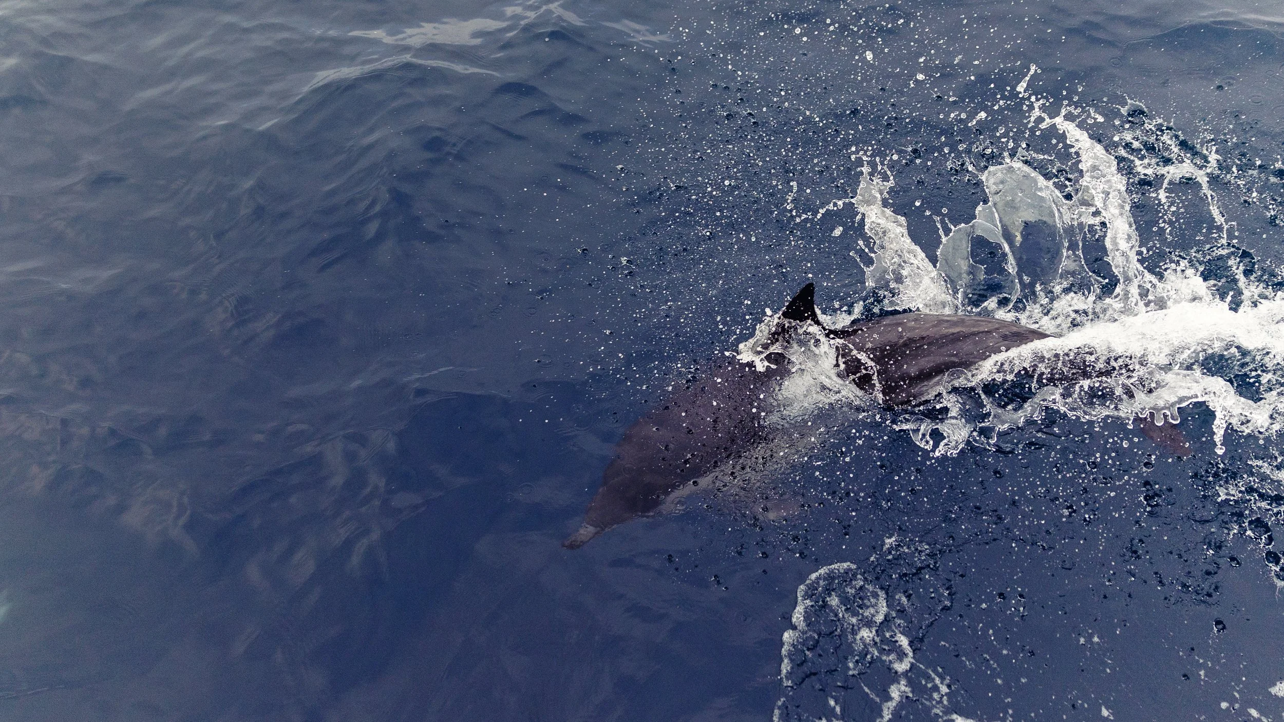 12. Charese Water.jpg