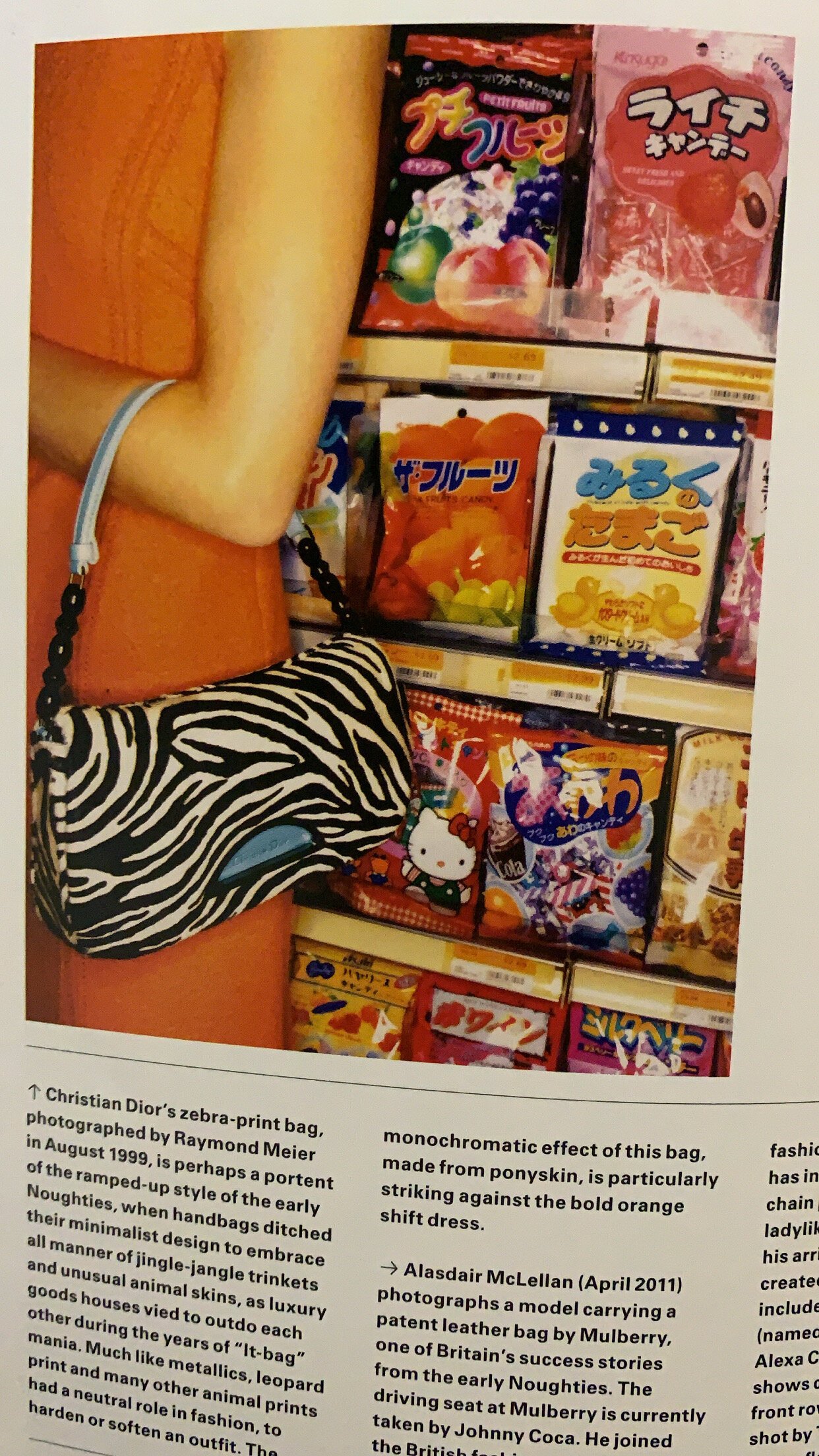 zebraa.jpeg