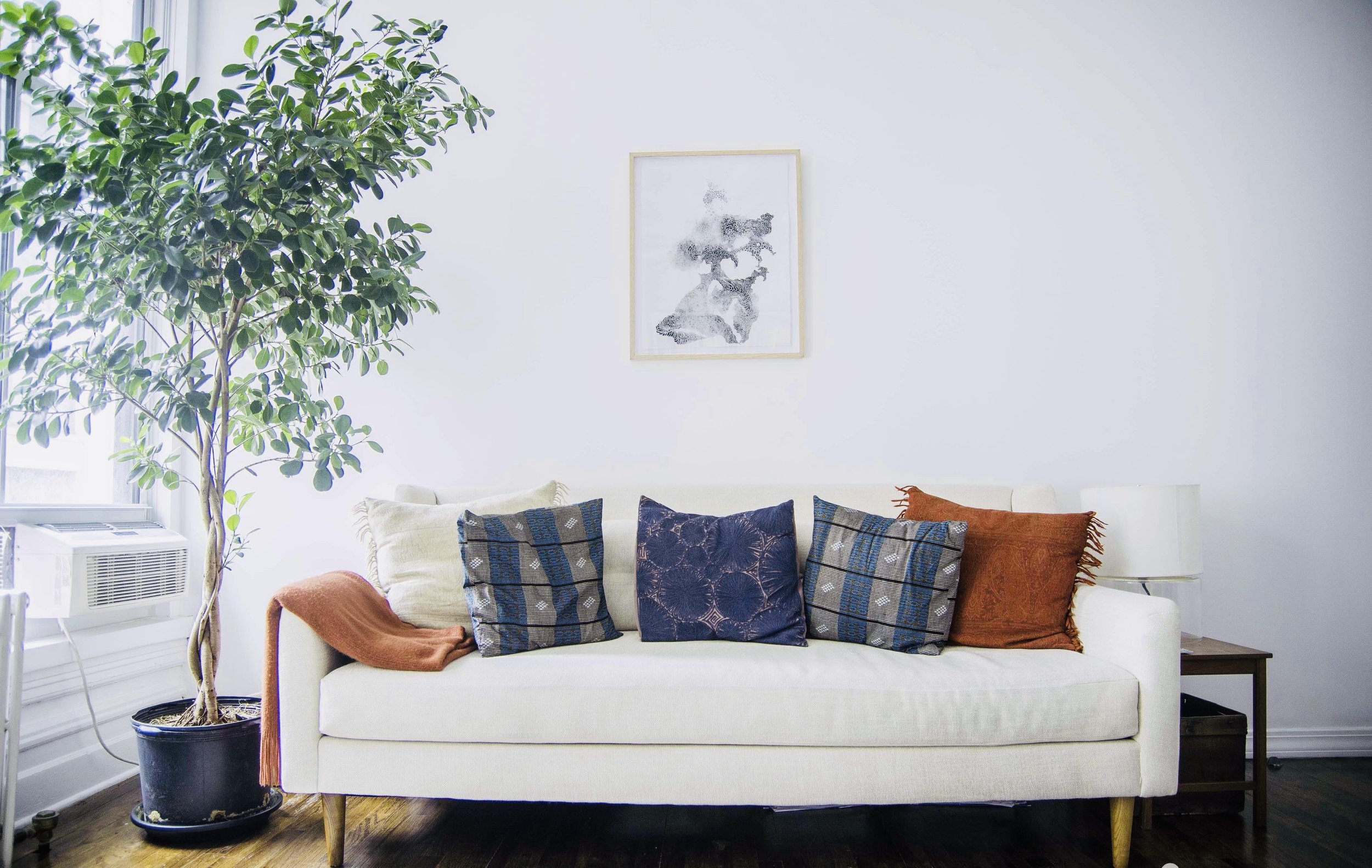 Zencare office 2.jpg