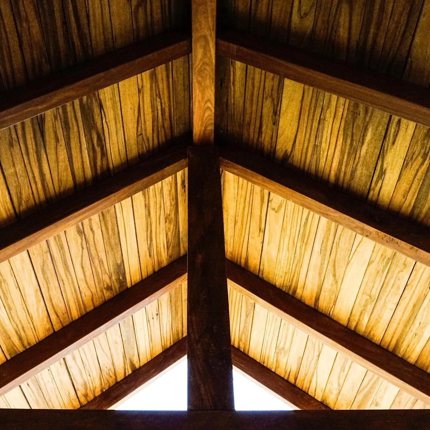 Our garden casita ceilings 

We❤️ hermosa madera