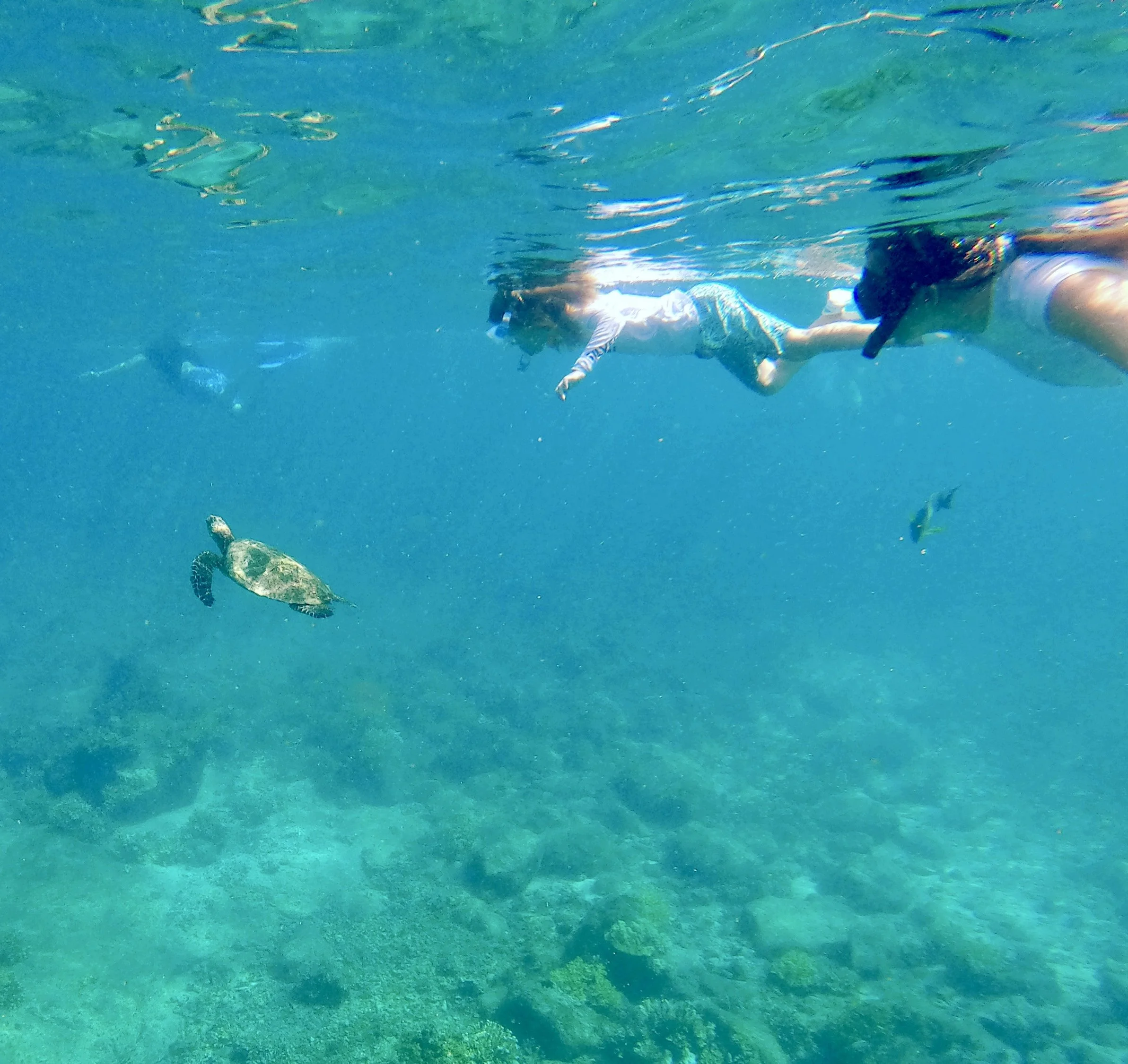 Santa Catalina, Panama: A Hidden Gem for Sun, Surf &amp; Serenity